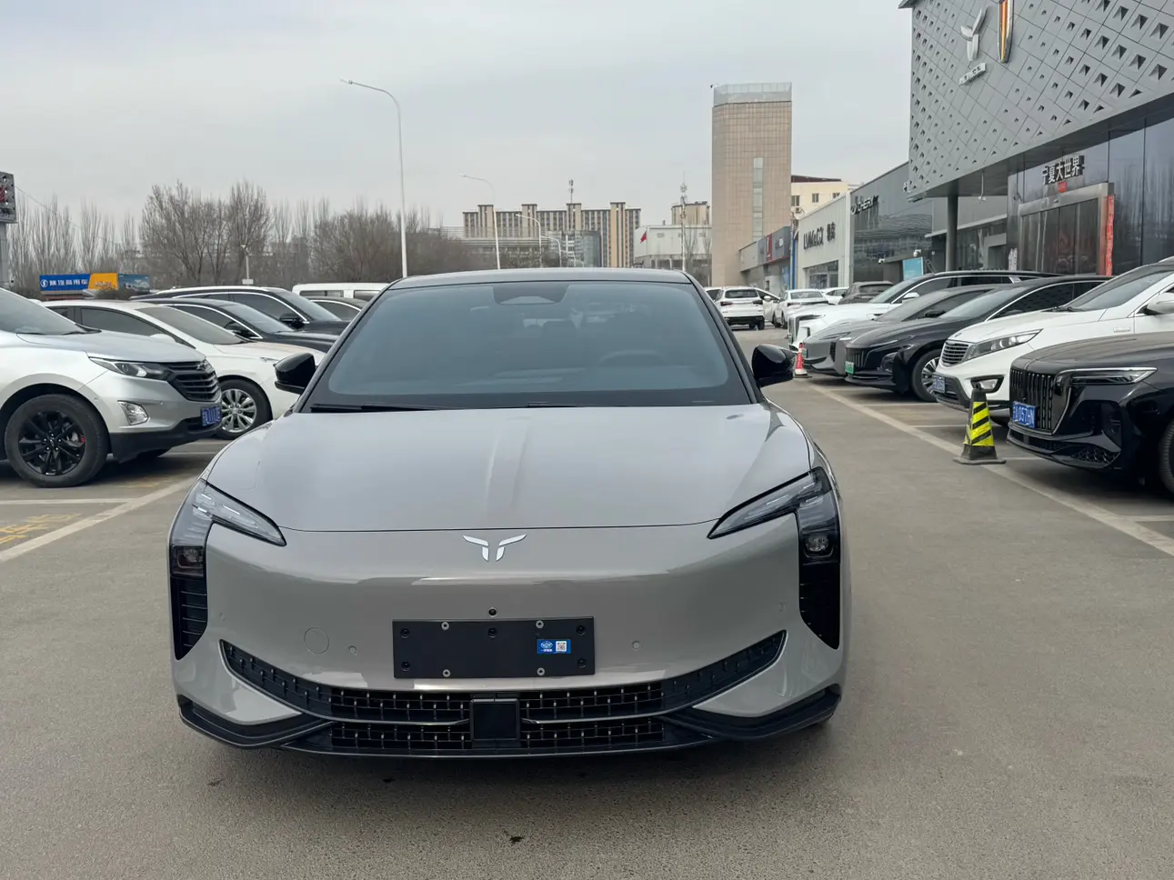 Hongqi EH7  из Китая