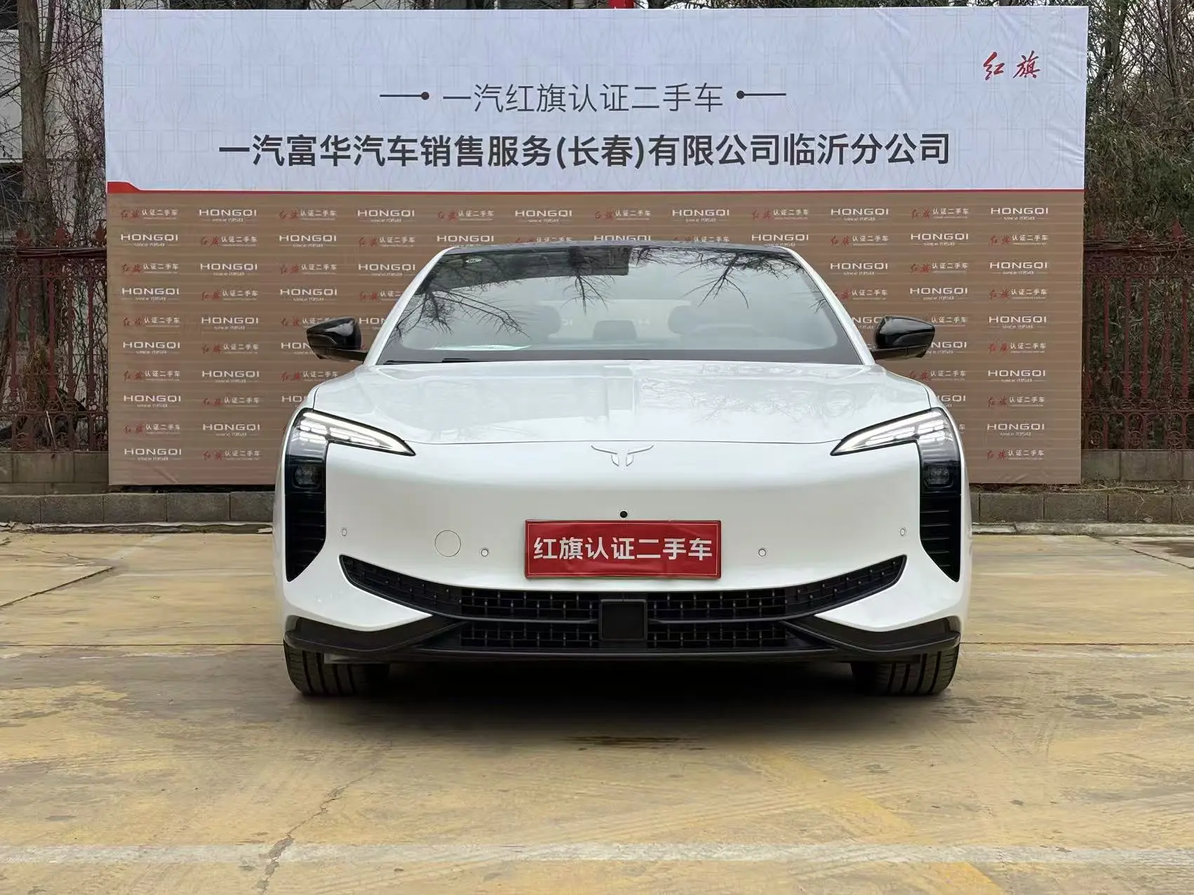 Hongqi EH7  из Китая