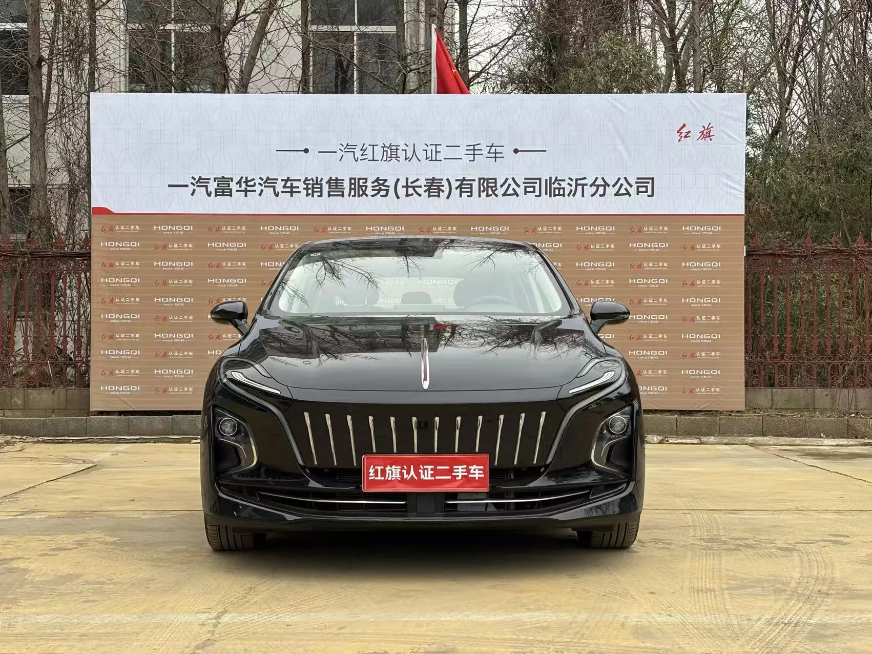 Hongqi E-QM5  из Китая