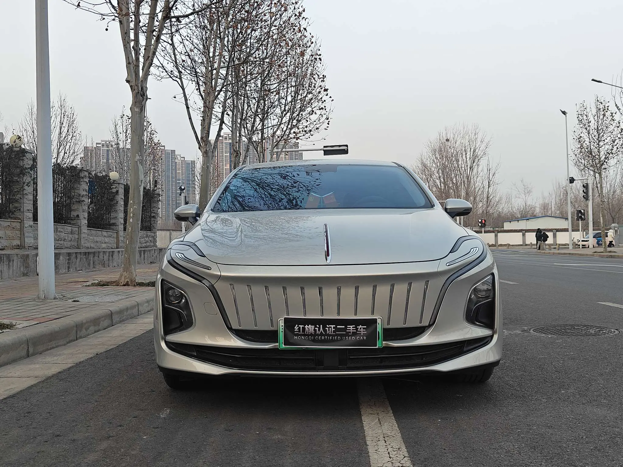 Hongqi E-QM5  из Китая