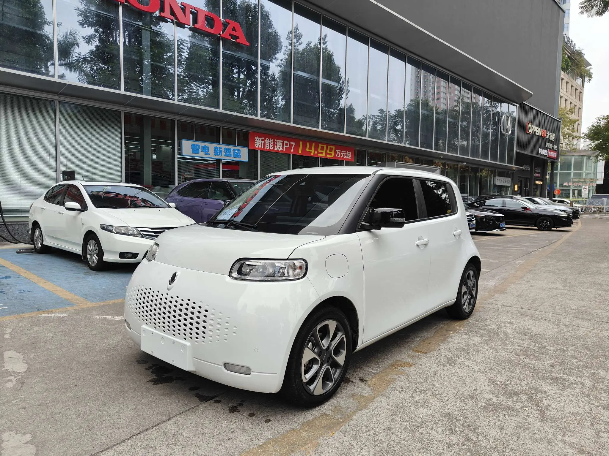 ORA Euler white cat  из Китая