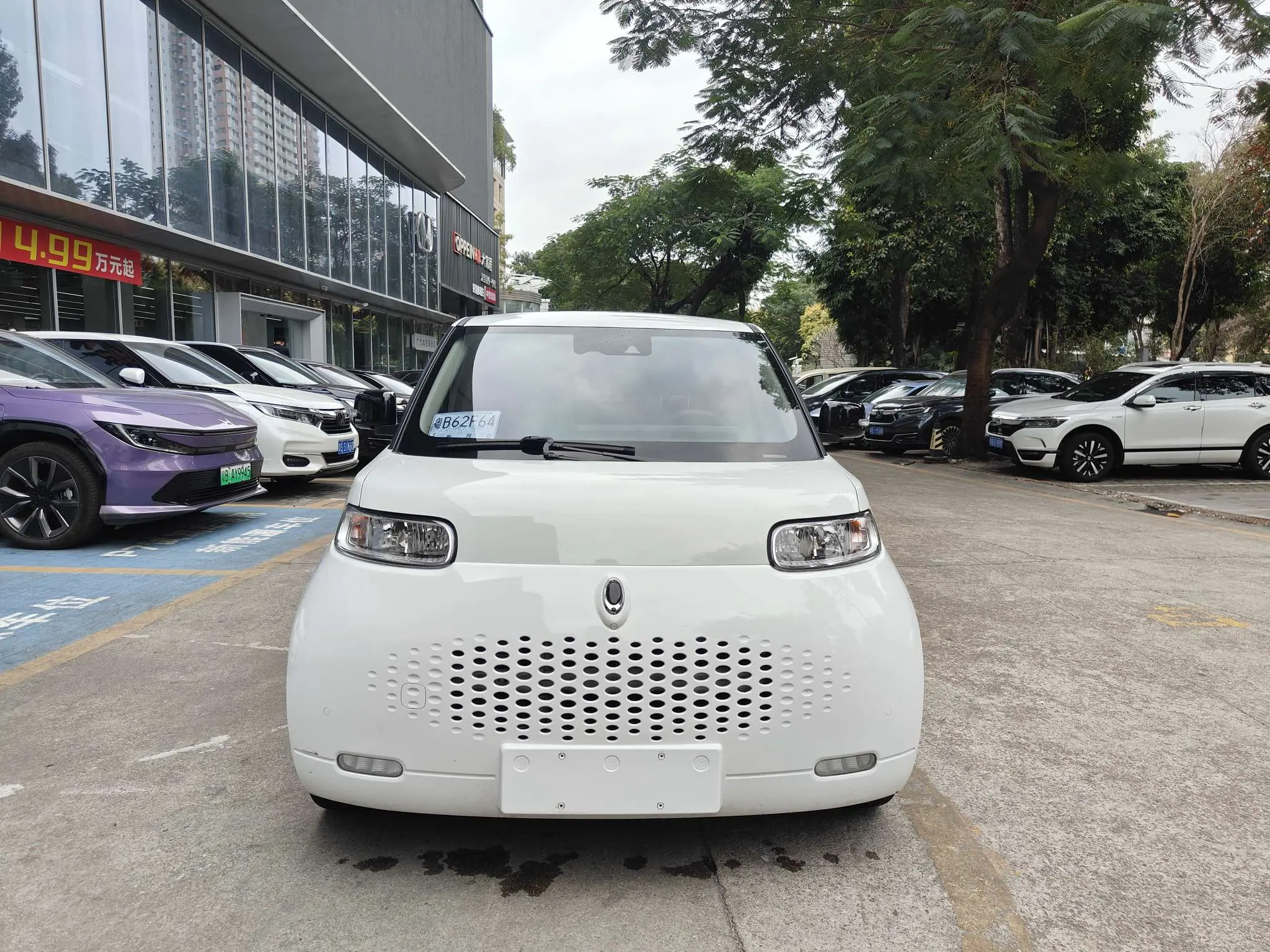 ORA Euler white cat  из Китая