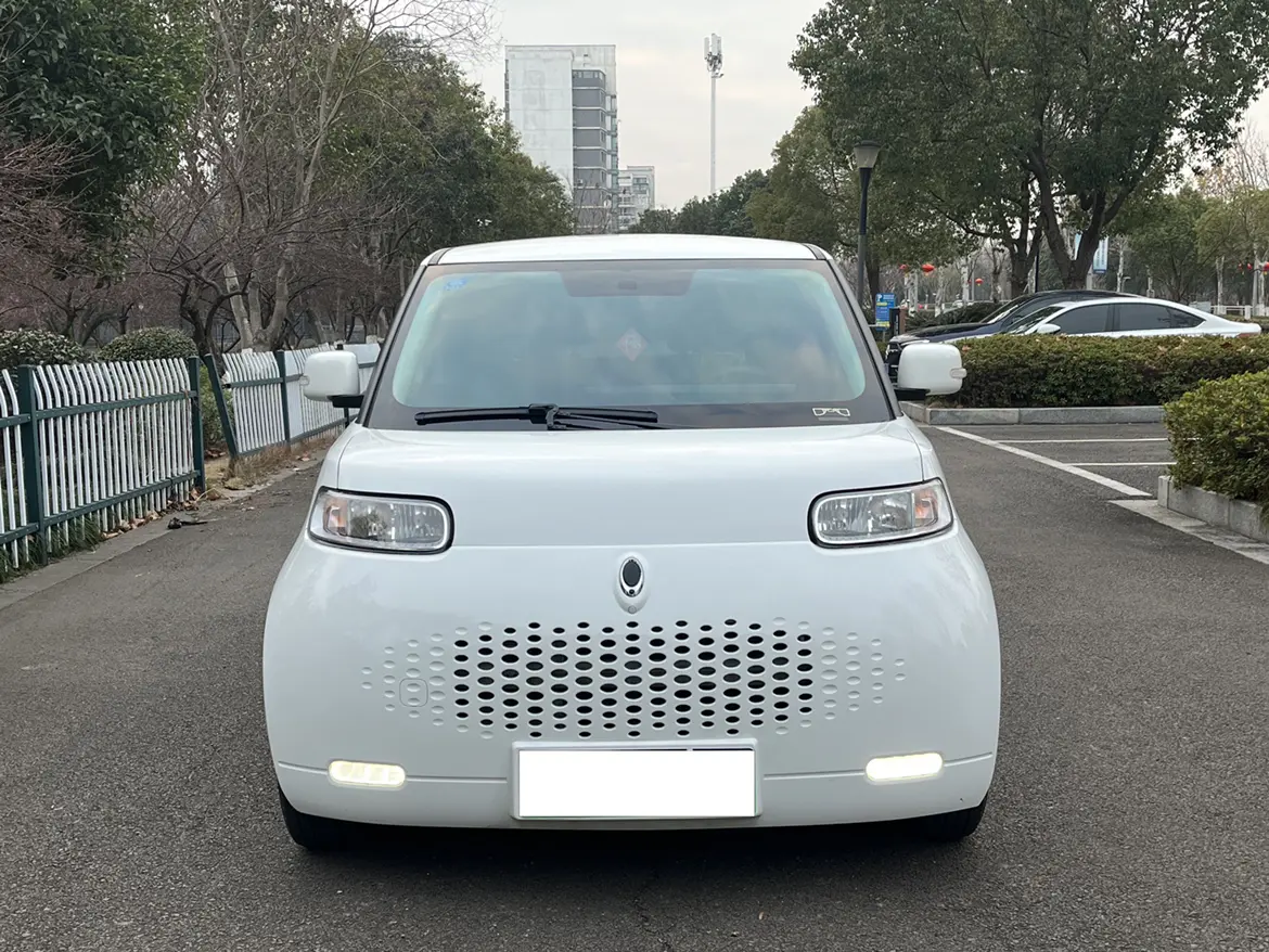 ORA Euler white cat  из Китая