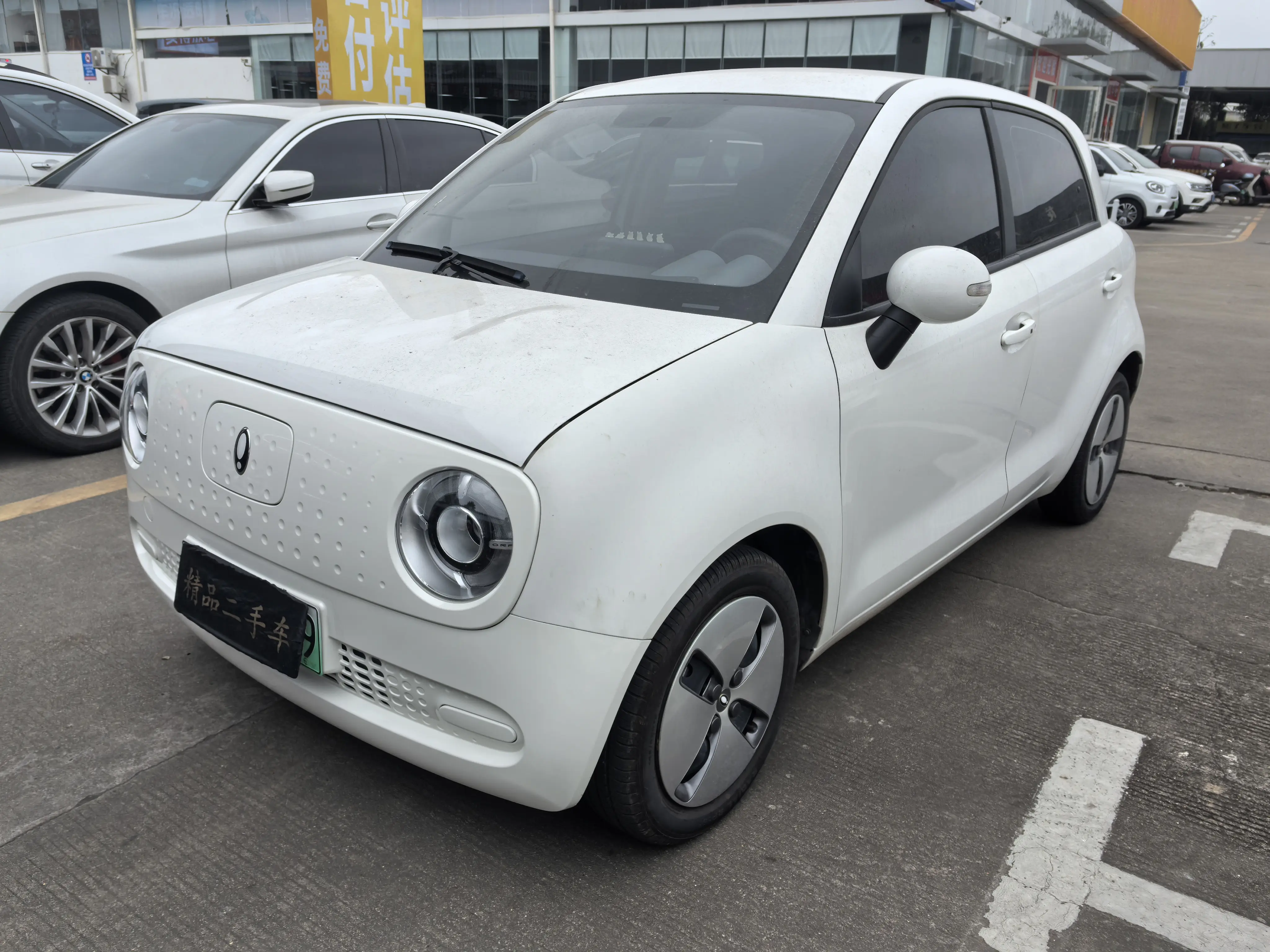 ORA Euler black cat  из Китая