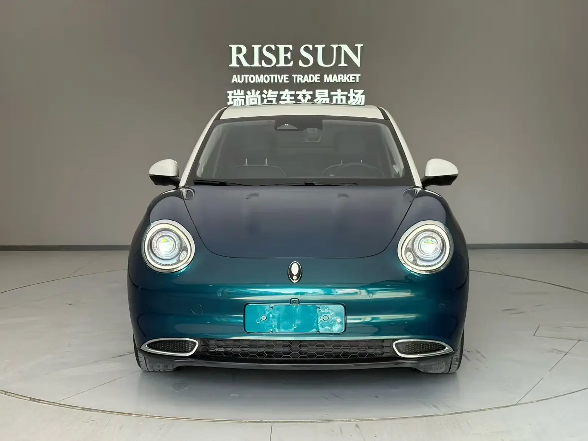 ORA Euler good cat  из Китая