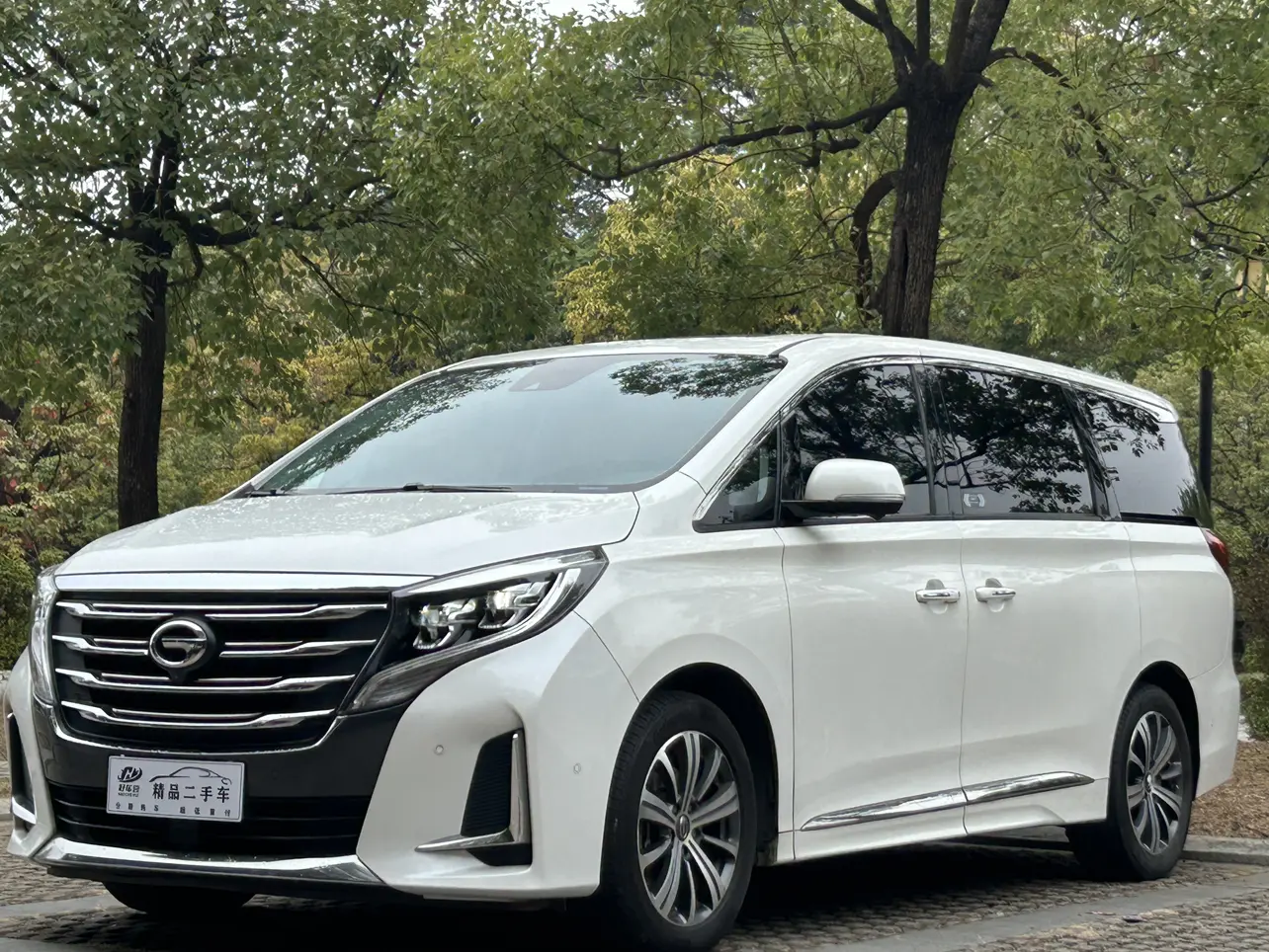 GAC Trumpchi M8  из Китая