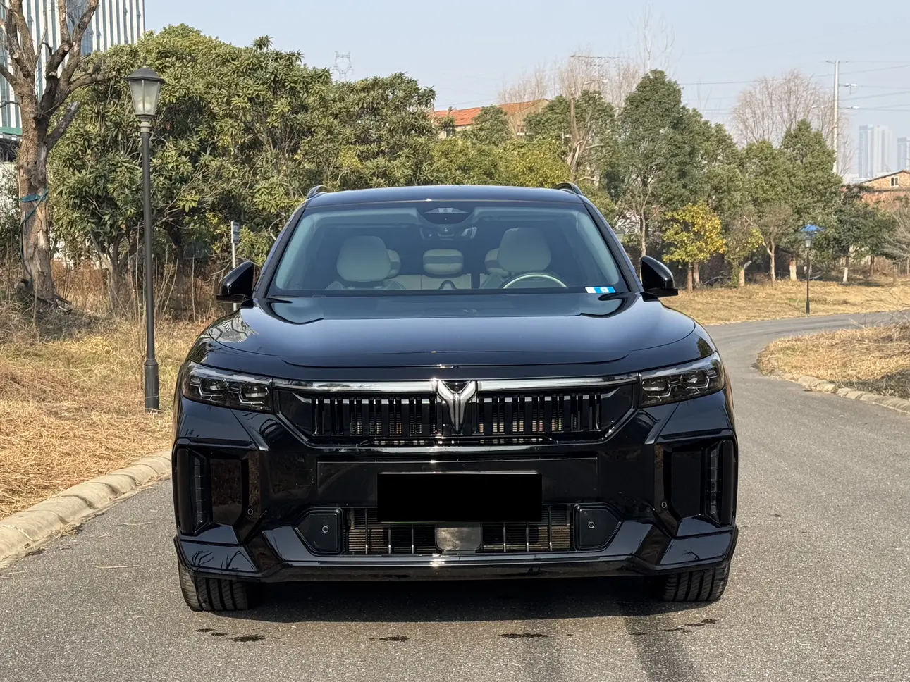 Voyah Lantu FREE  из Китая