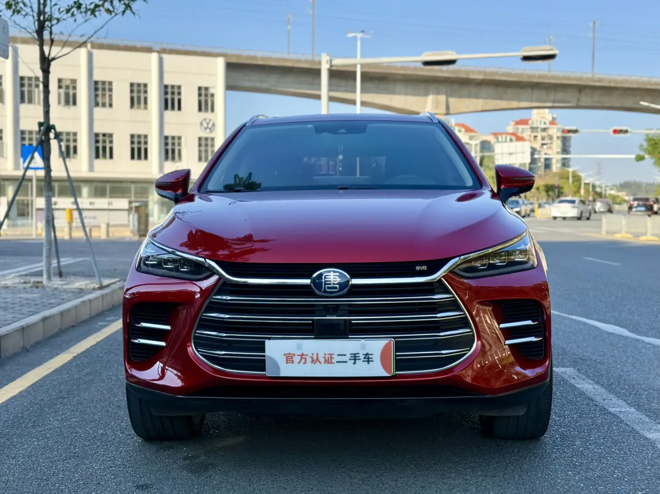 BYD Tang DM  из Китая