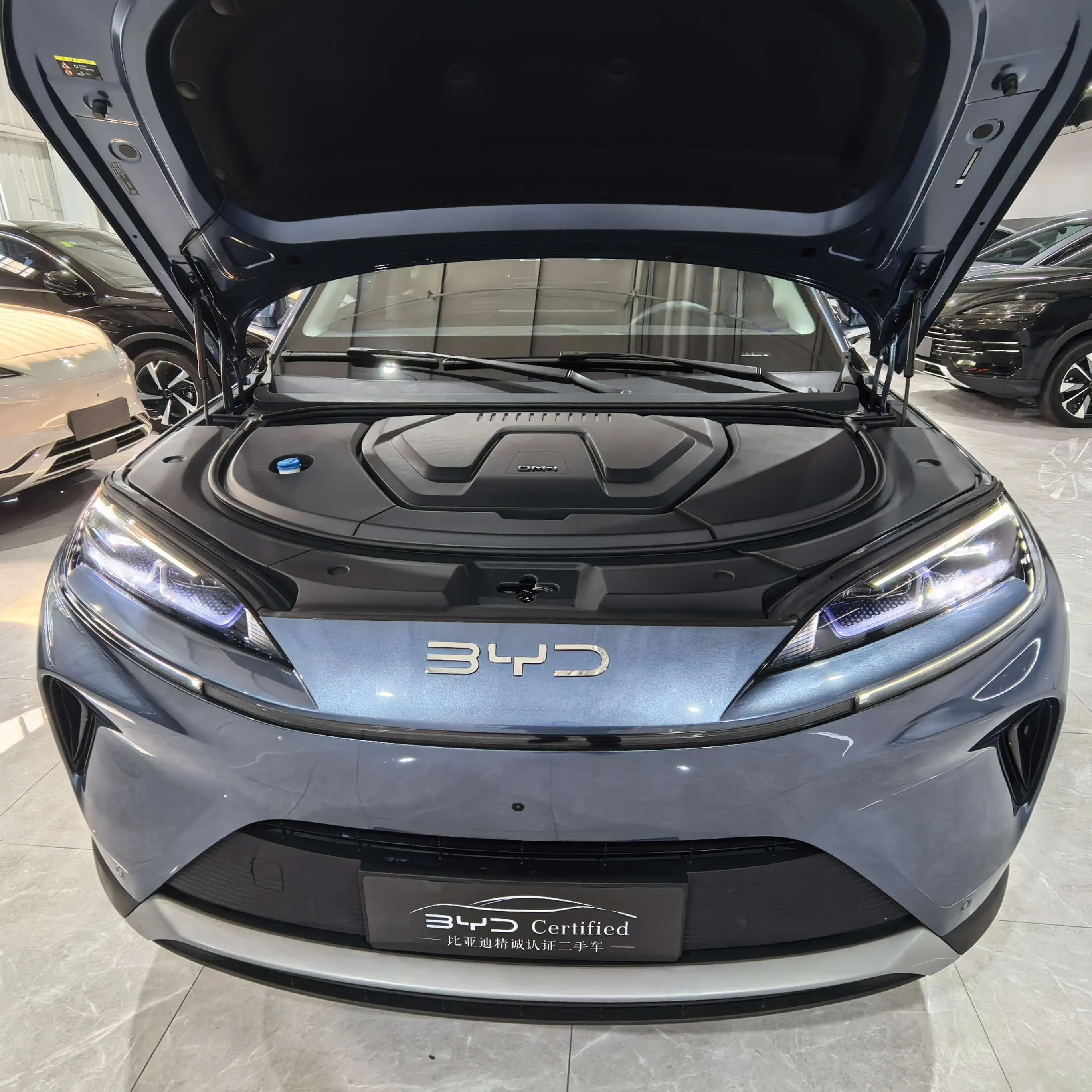 BYD Sea Lion 07DM  из Китая