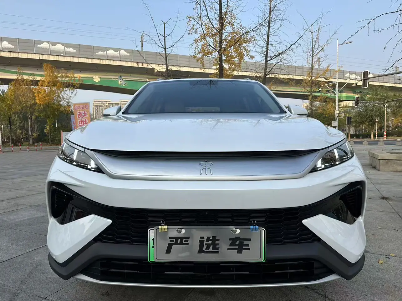 BYD Song Pro DM  из Китая