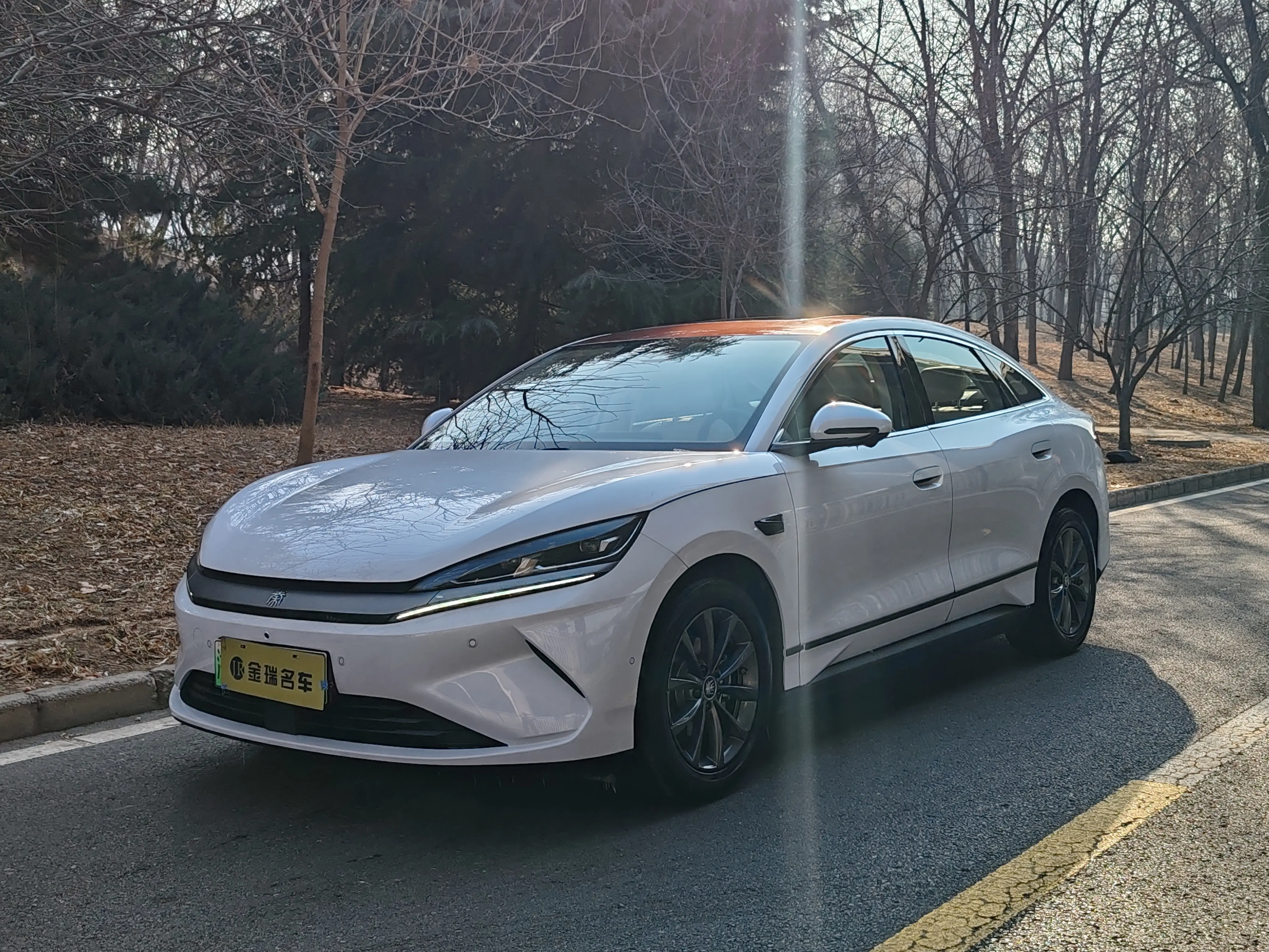 BYD Qin L EV  из Китая