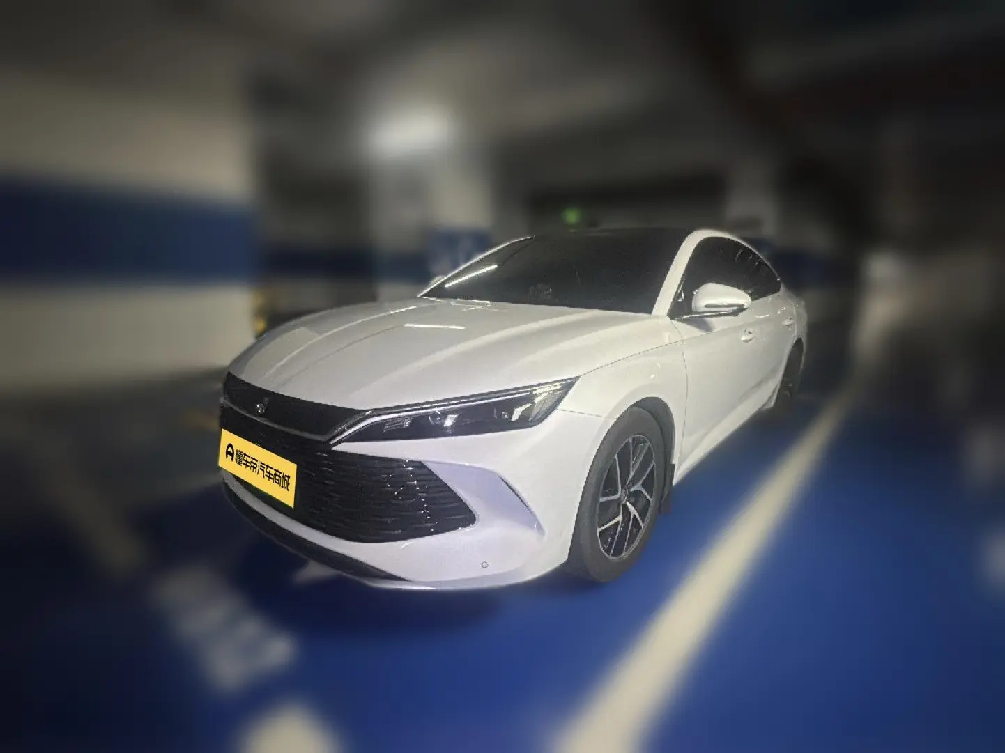 BYD Qin L DM  из Китая