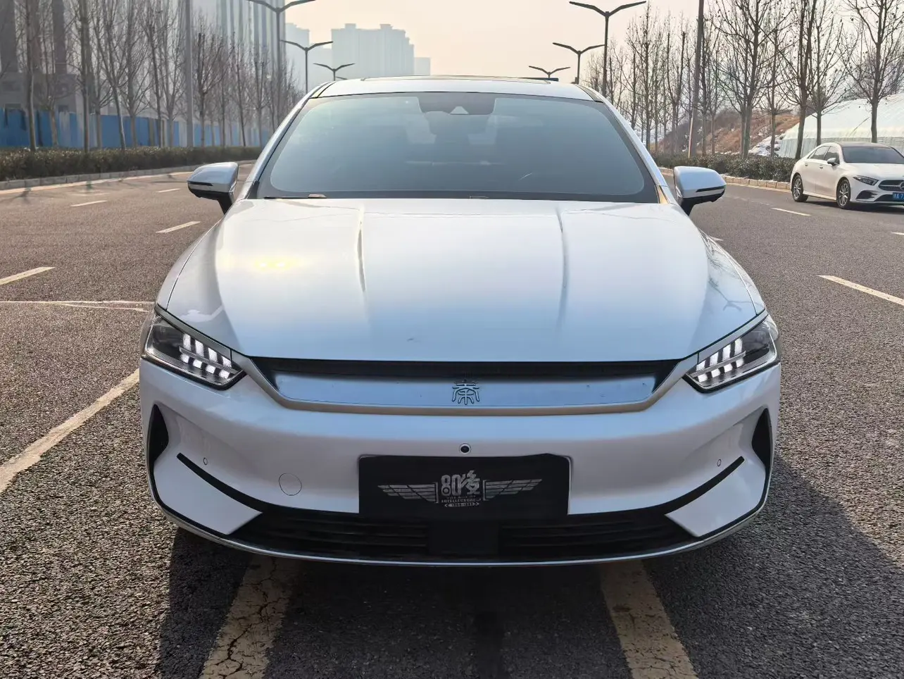 BYD Qin PLUS EV  из Китая