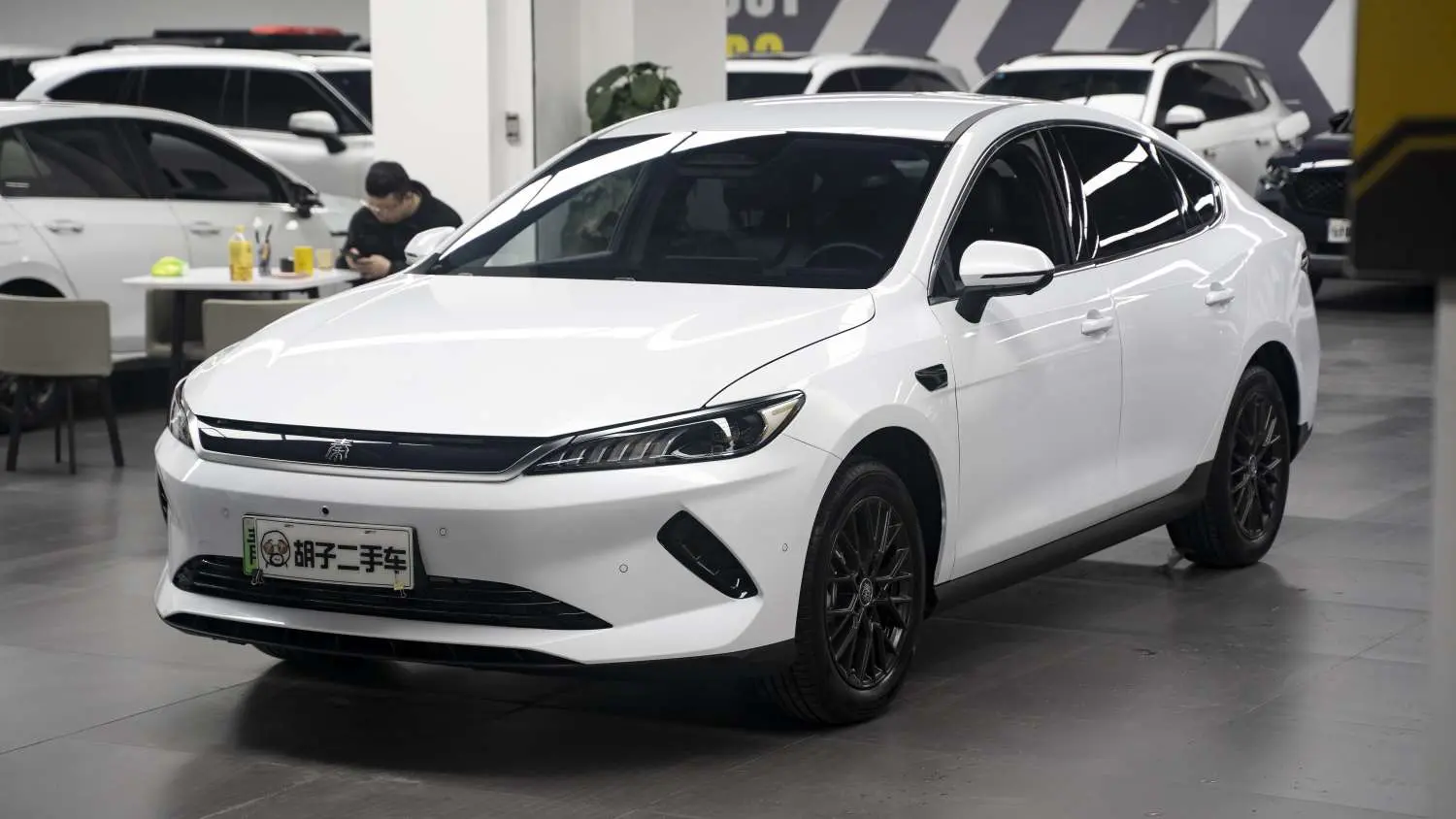 BYD Qin PLUS EV  из Китая