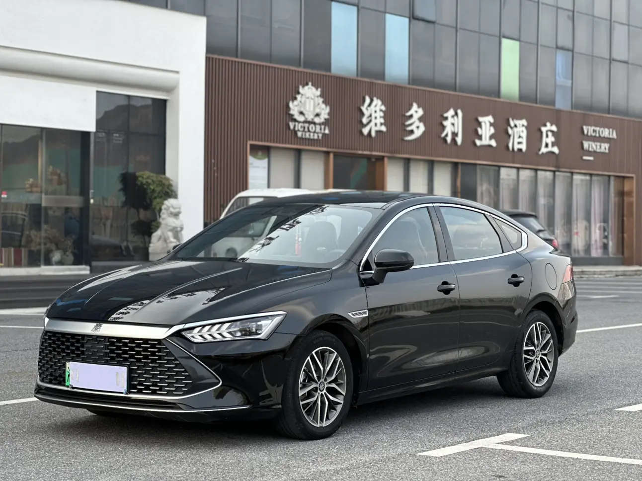 BYD Qin PLUS DM  из Китая