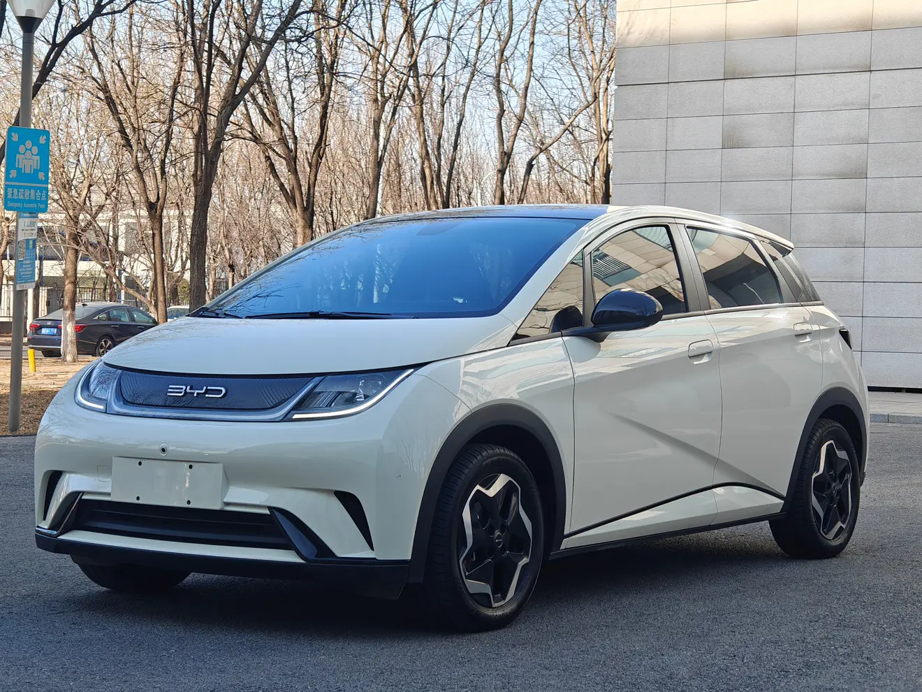 BYD Dolphin  из Китая