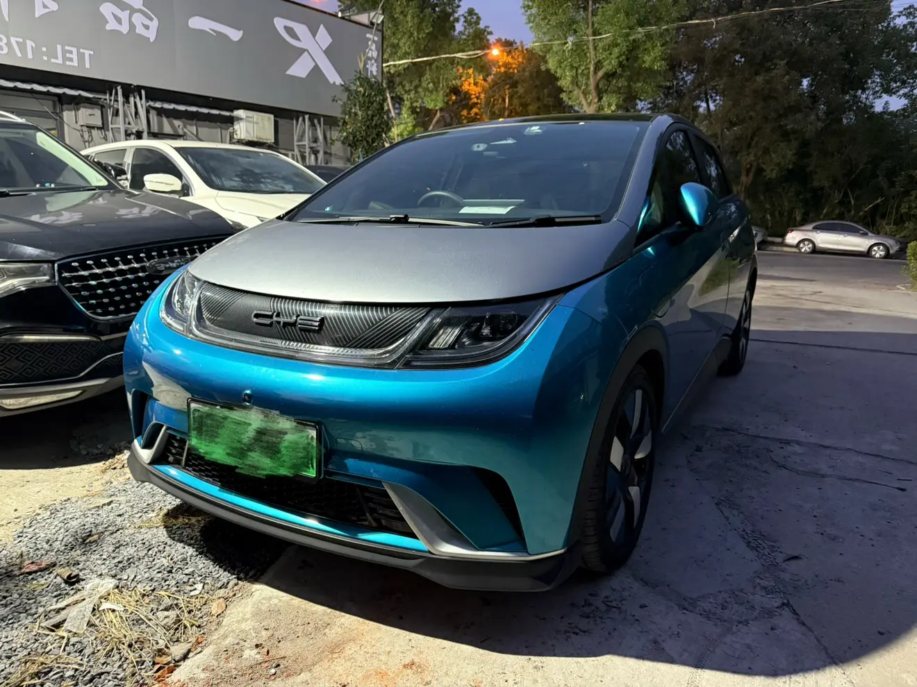 BYD Dolphin  из Китая