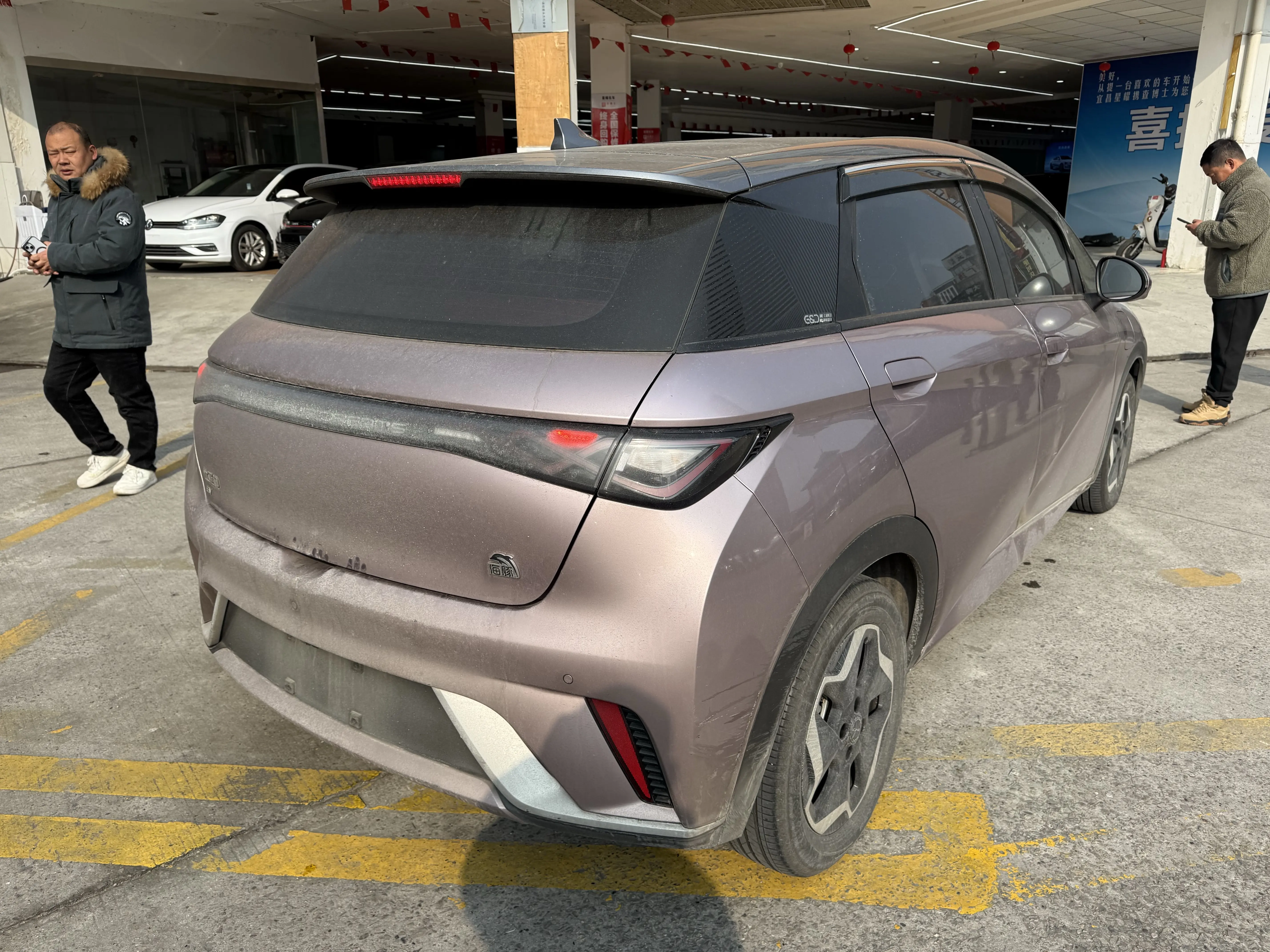 BYD Dolphin  из Китая