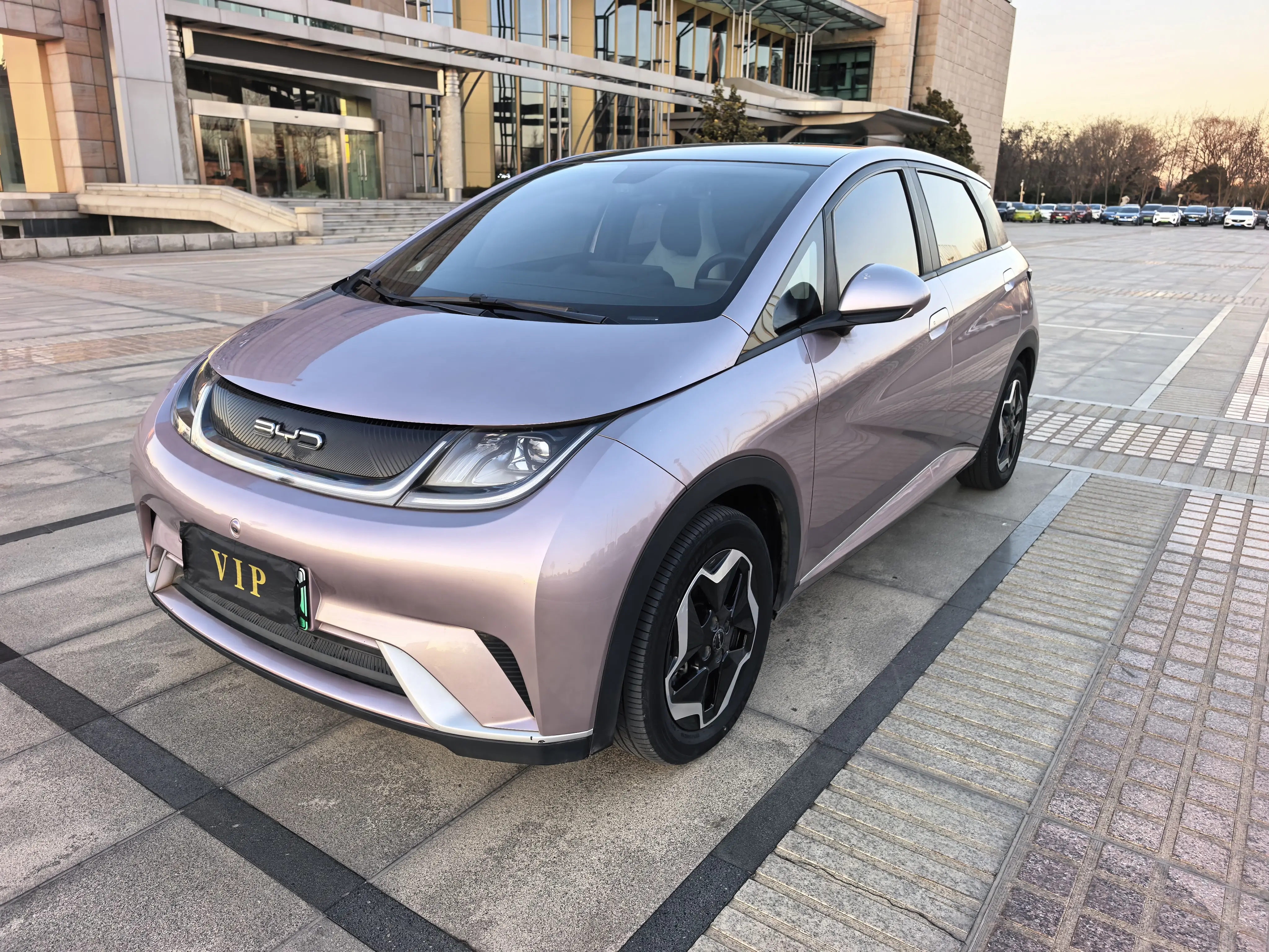 BYD Dolphin  из Китая