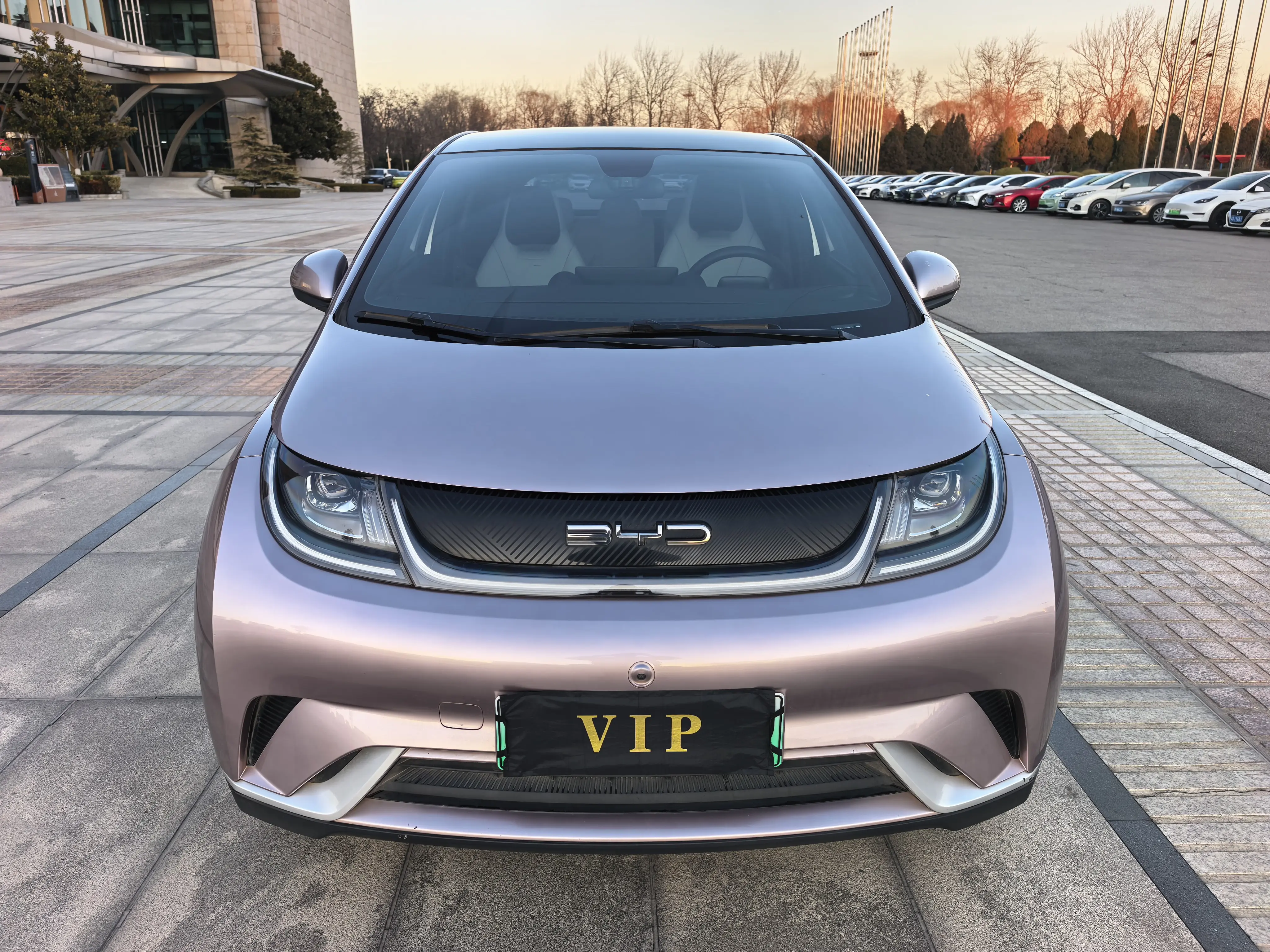 BYD Dolphin  из Китая