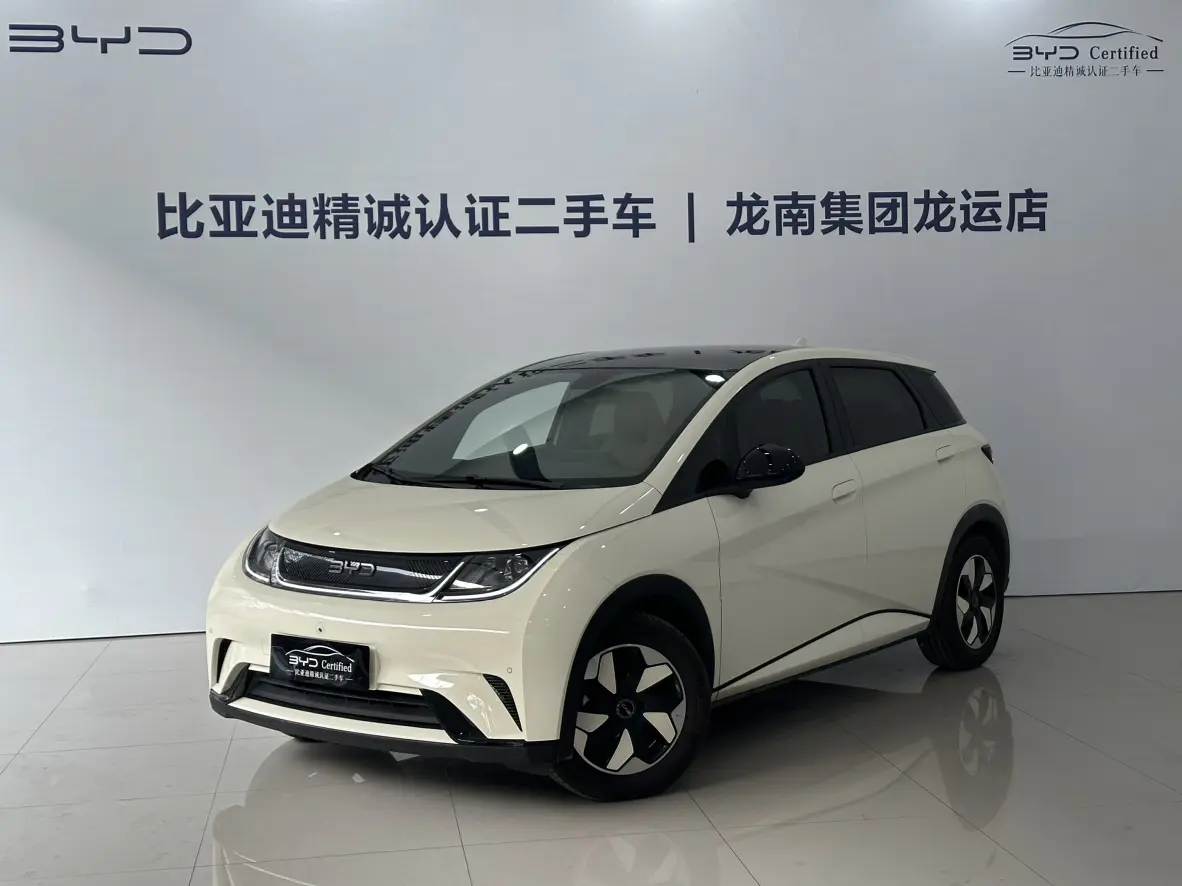 BYD Dolphin  из Китая