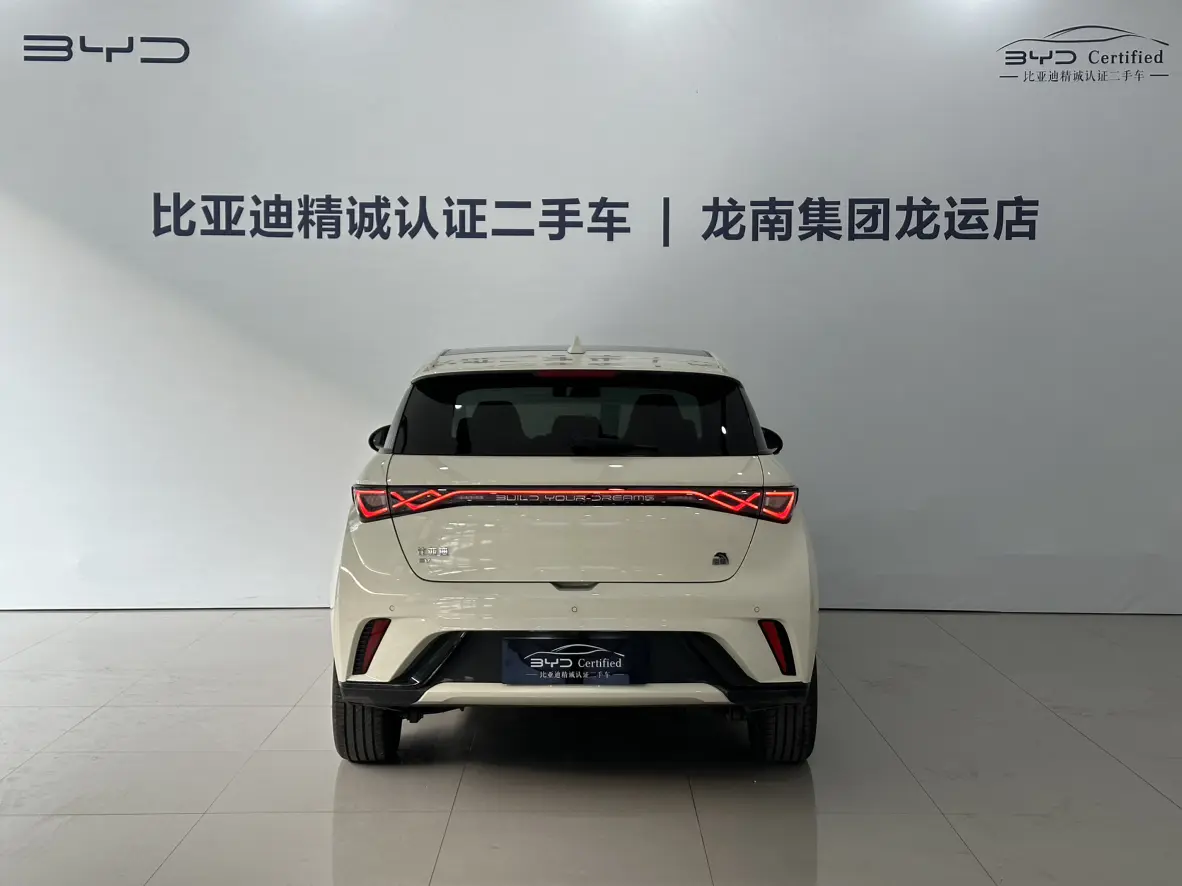 BYD Dolphin  из Китая