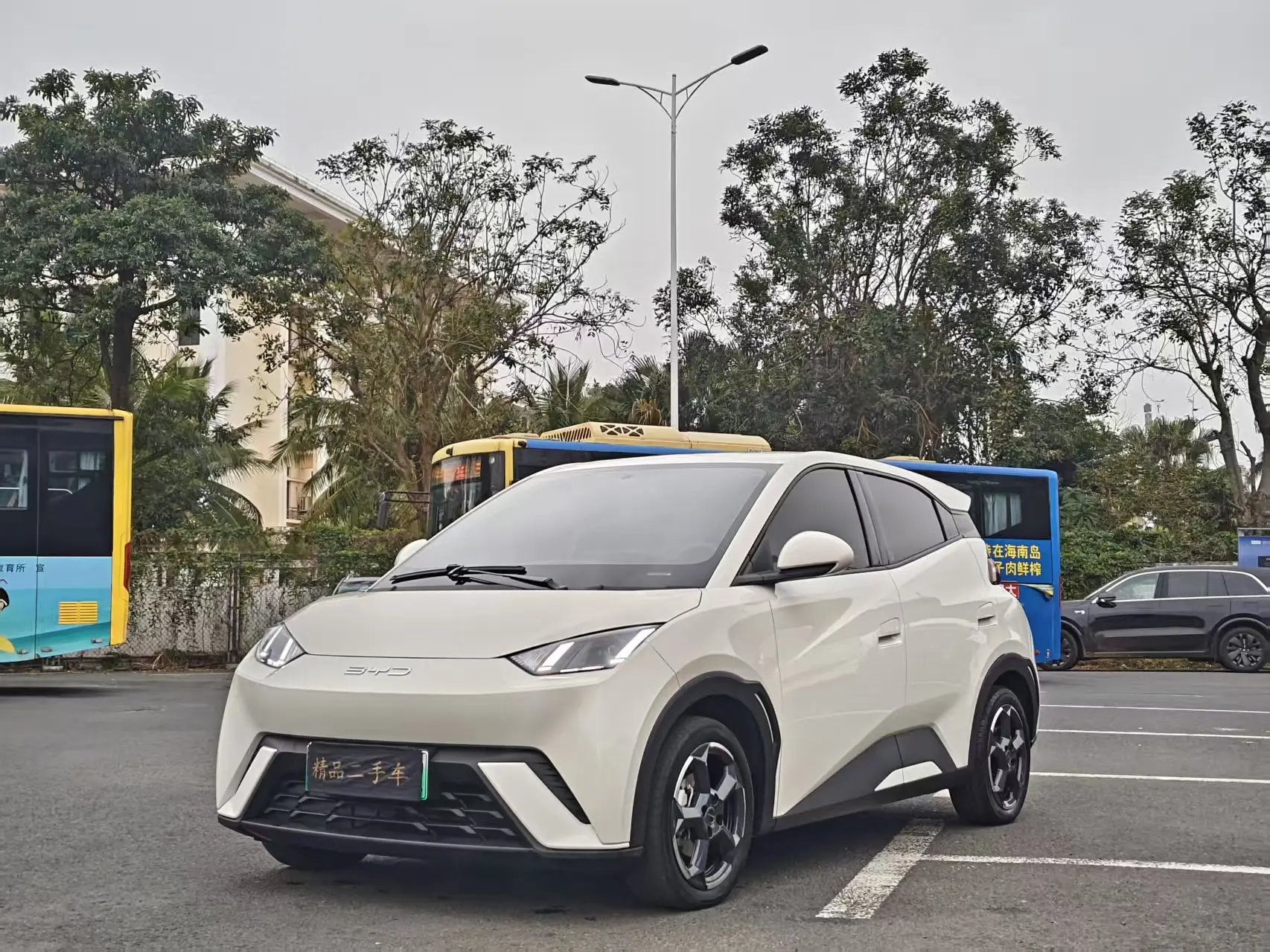 BYD Seagull  из Китая