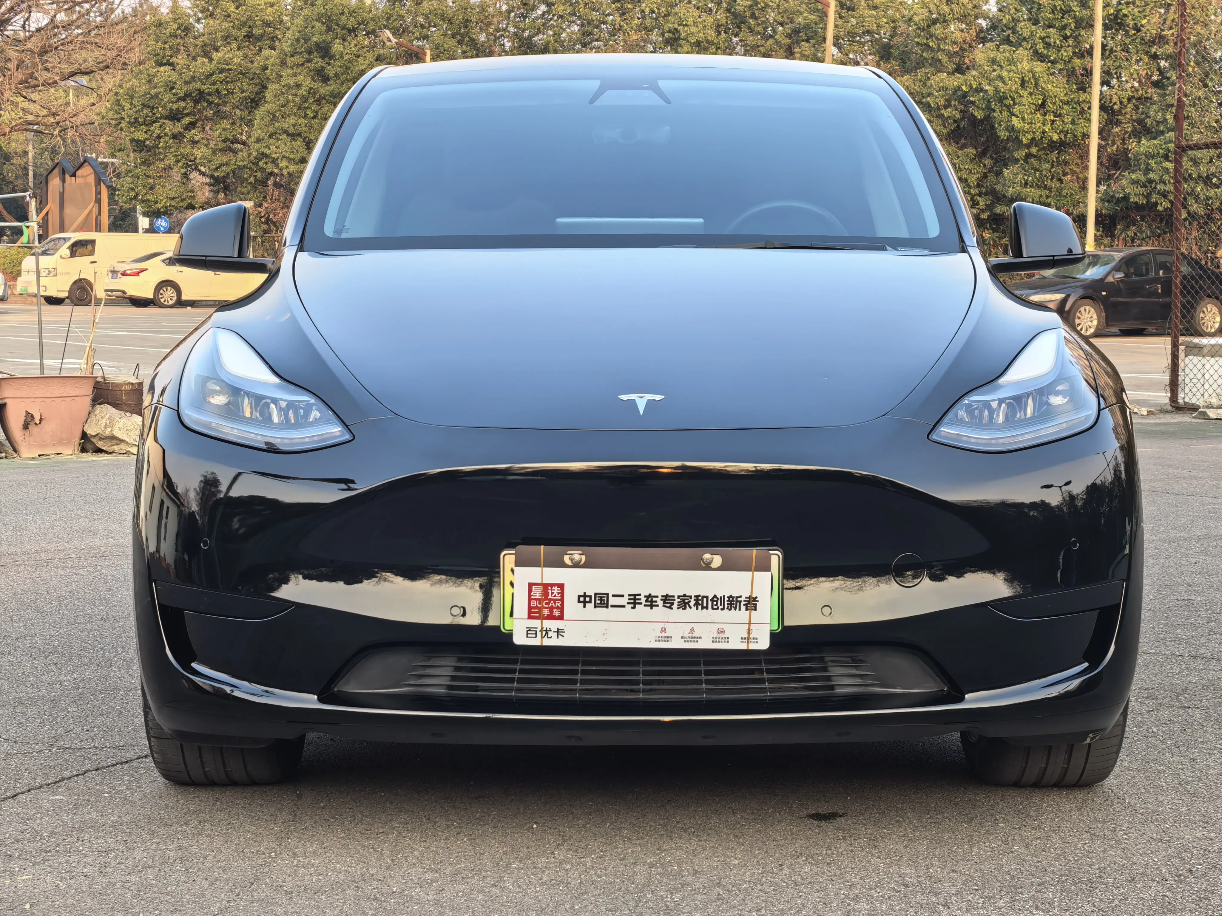 Tesla Model Y  из Китая