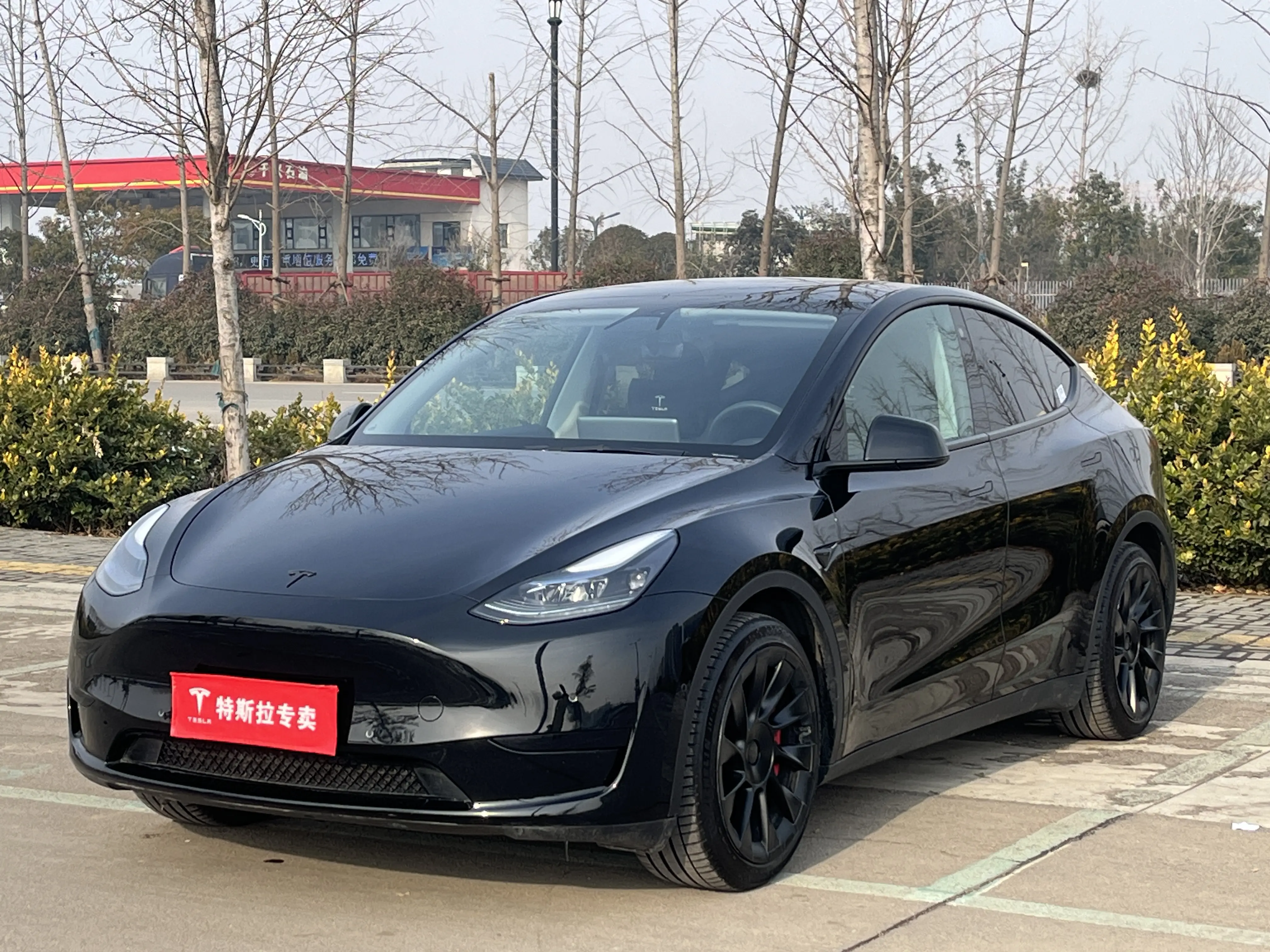 Tesla Model Y  из Китая