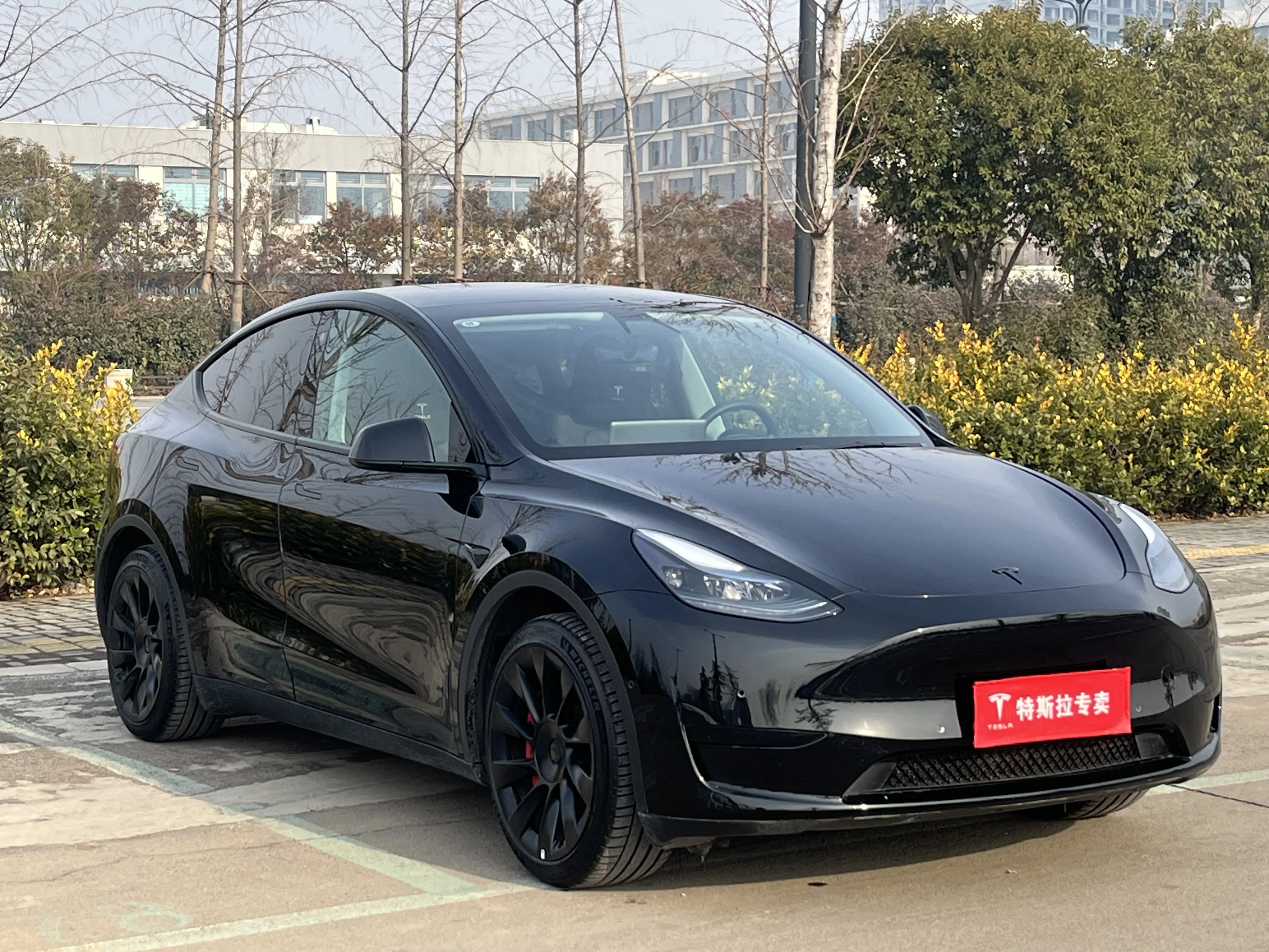 Tesla Model Y  из Китая