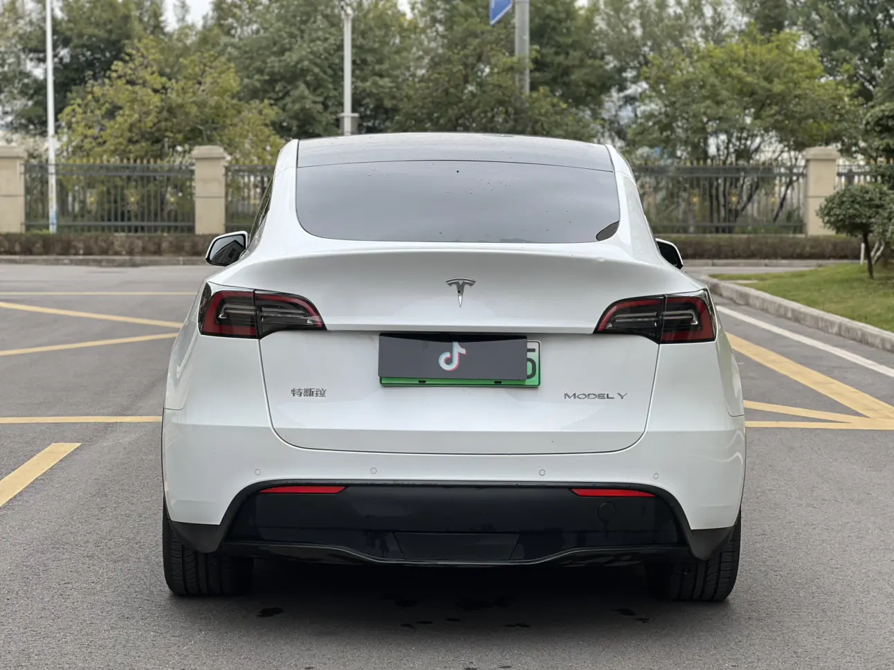 Tesla Model Y  из Китая