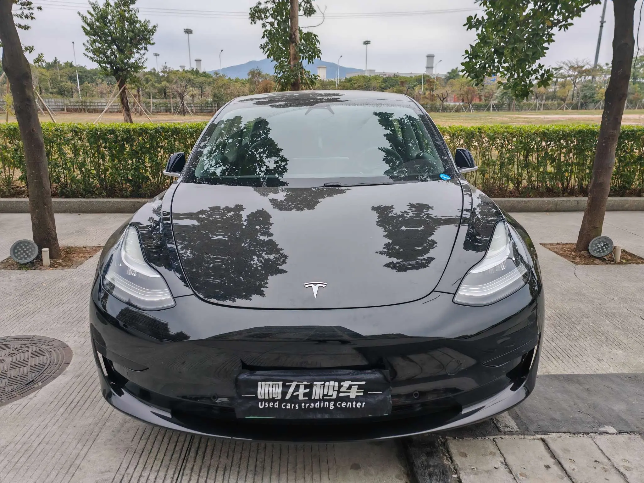 Tesla Model 3  из Китая