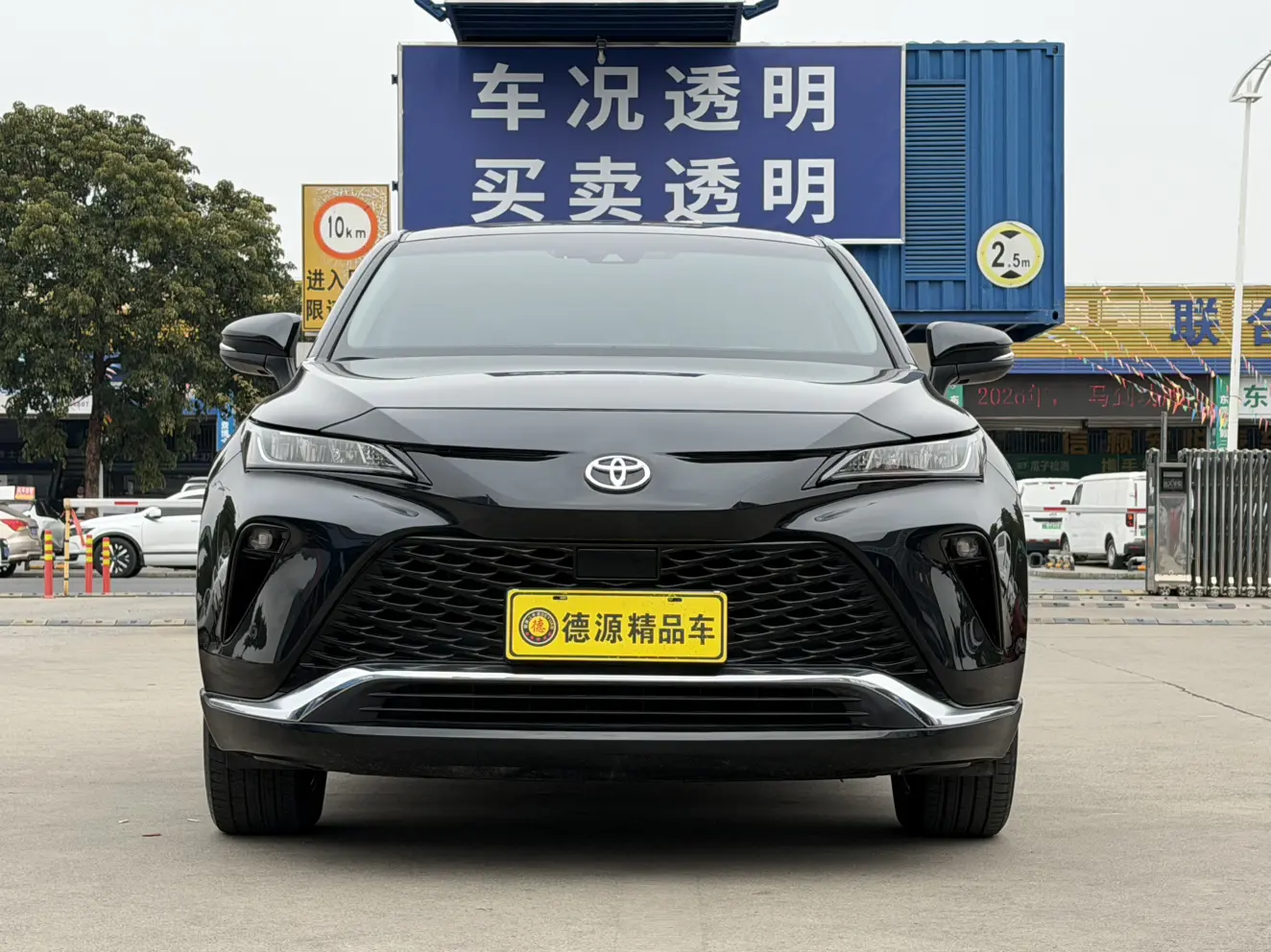 Toyota Venza (Wei Sa)  из Китая