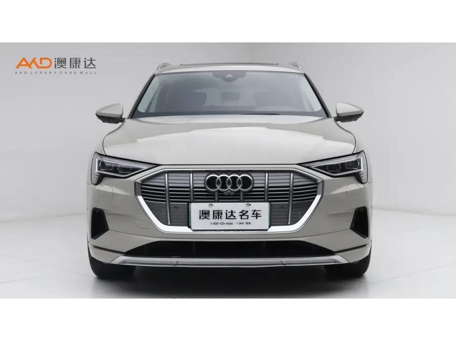 Audi e-tron  из Китая