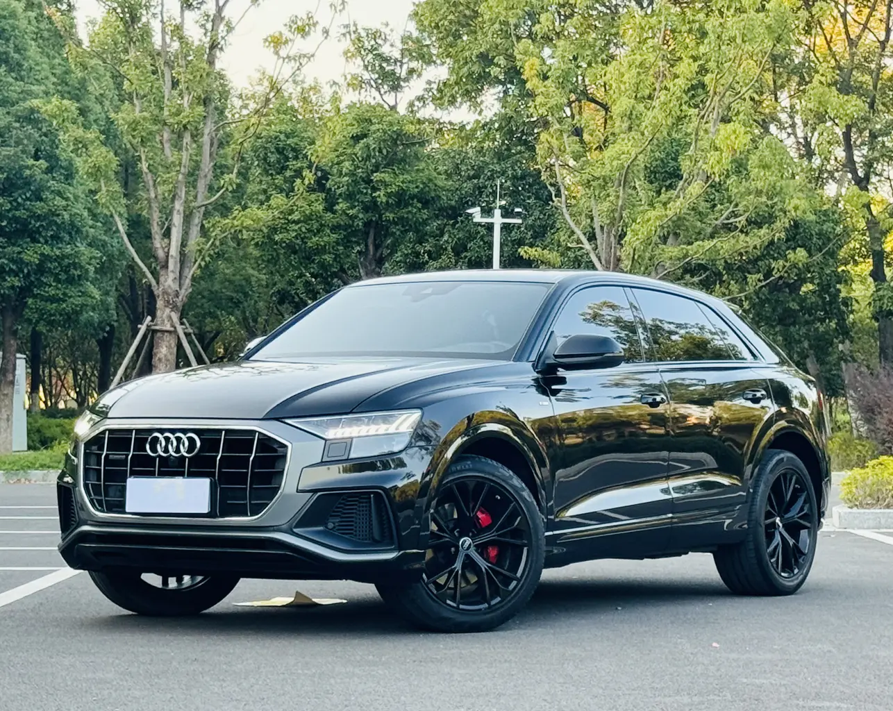 Audi Q8  из Китая