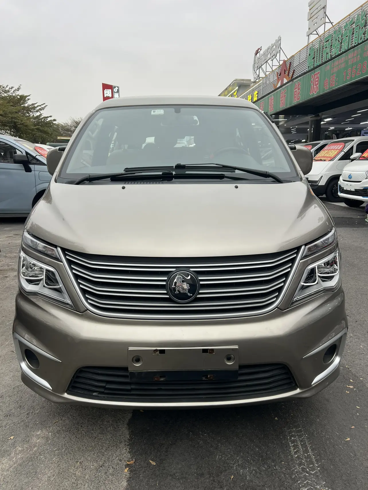 Forthing Lingzhi  из Китая