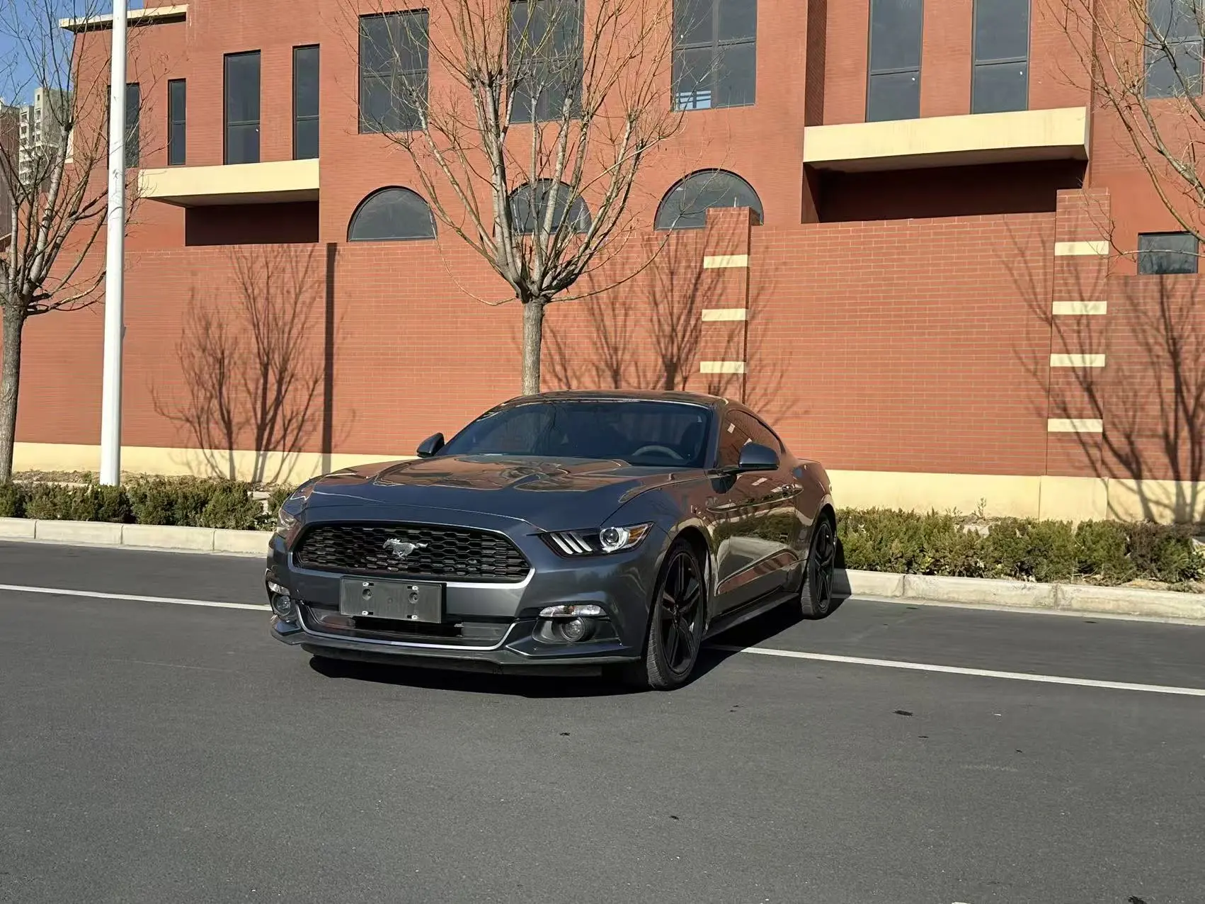 Ford Mustang  из Китая