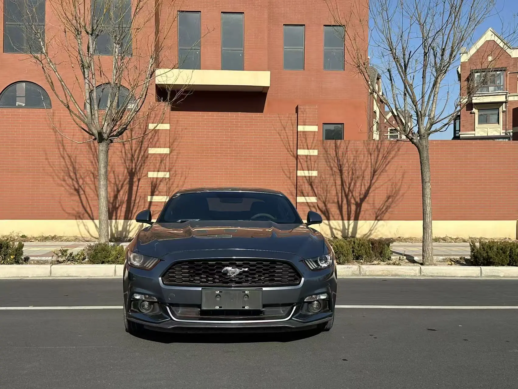 Ford Mustang  из Китая