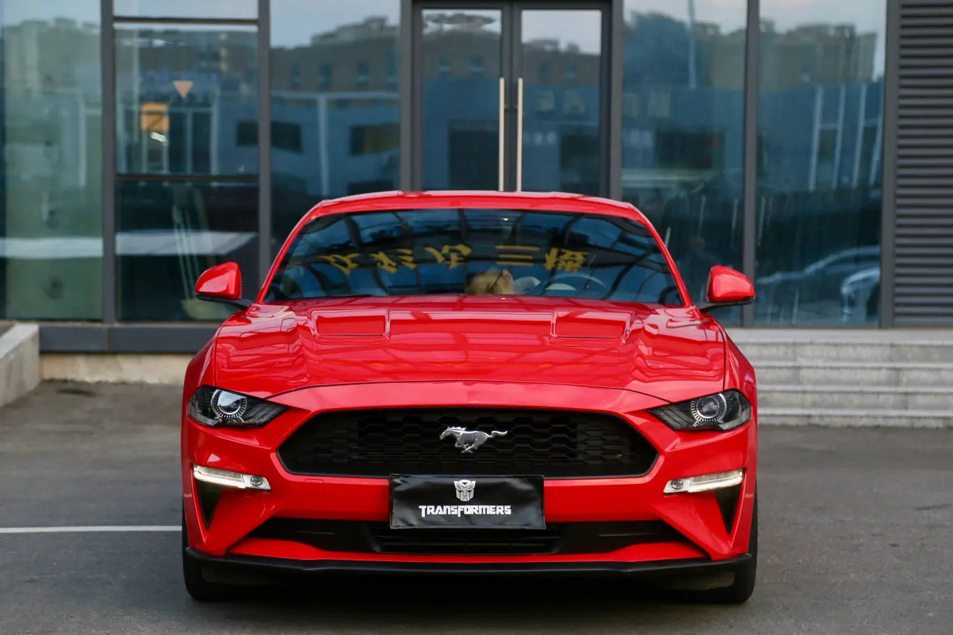 Ford Mustang  из Китая