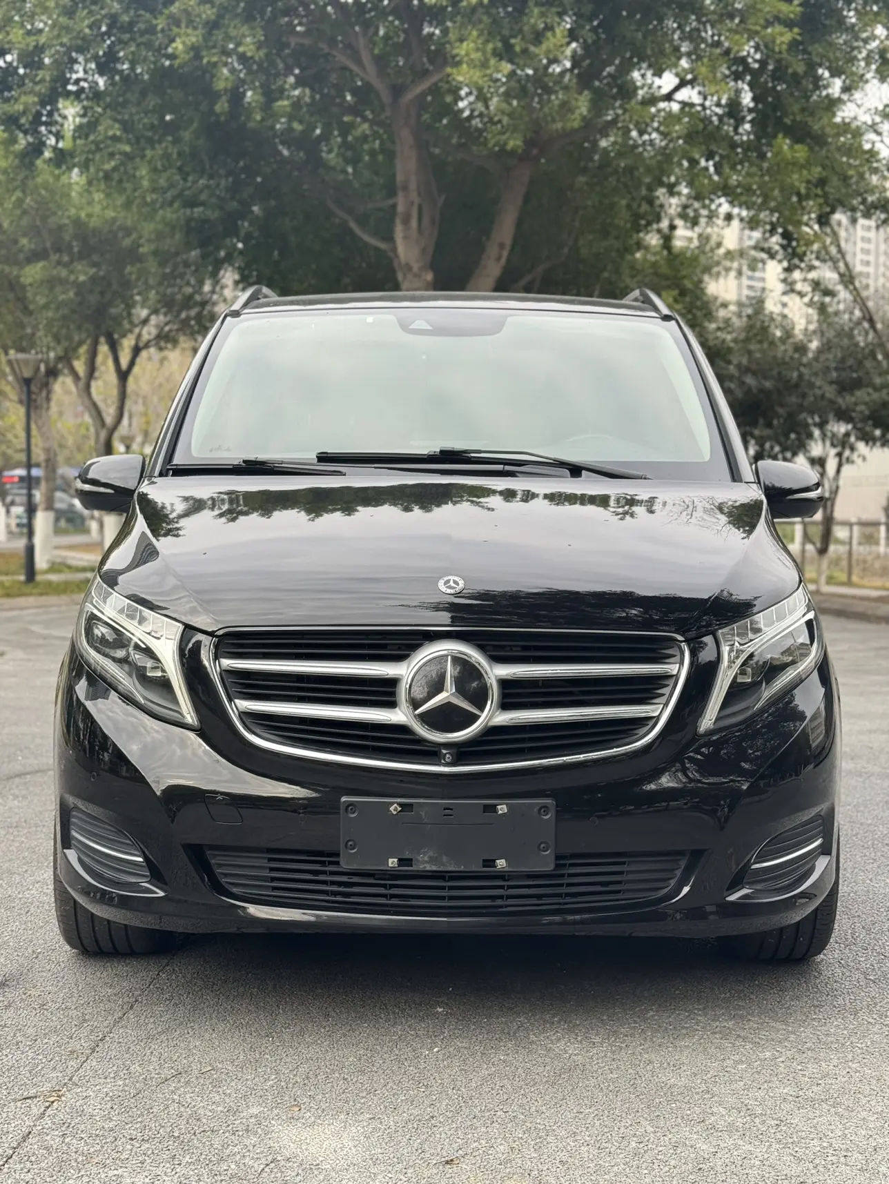 Mercedes-Benz Mercedes Benz V Class  из Китая