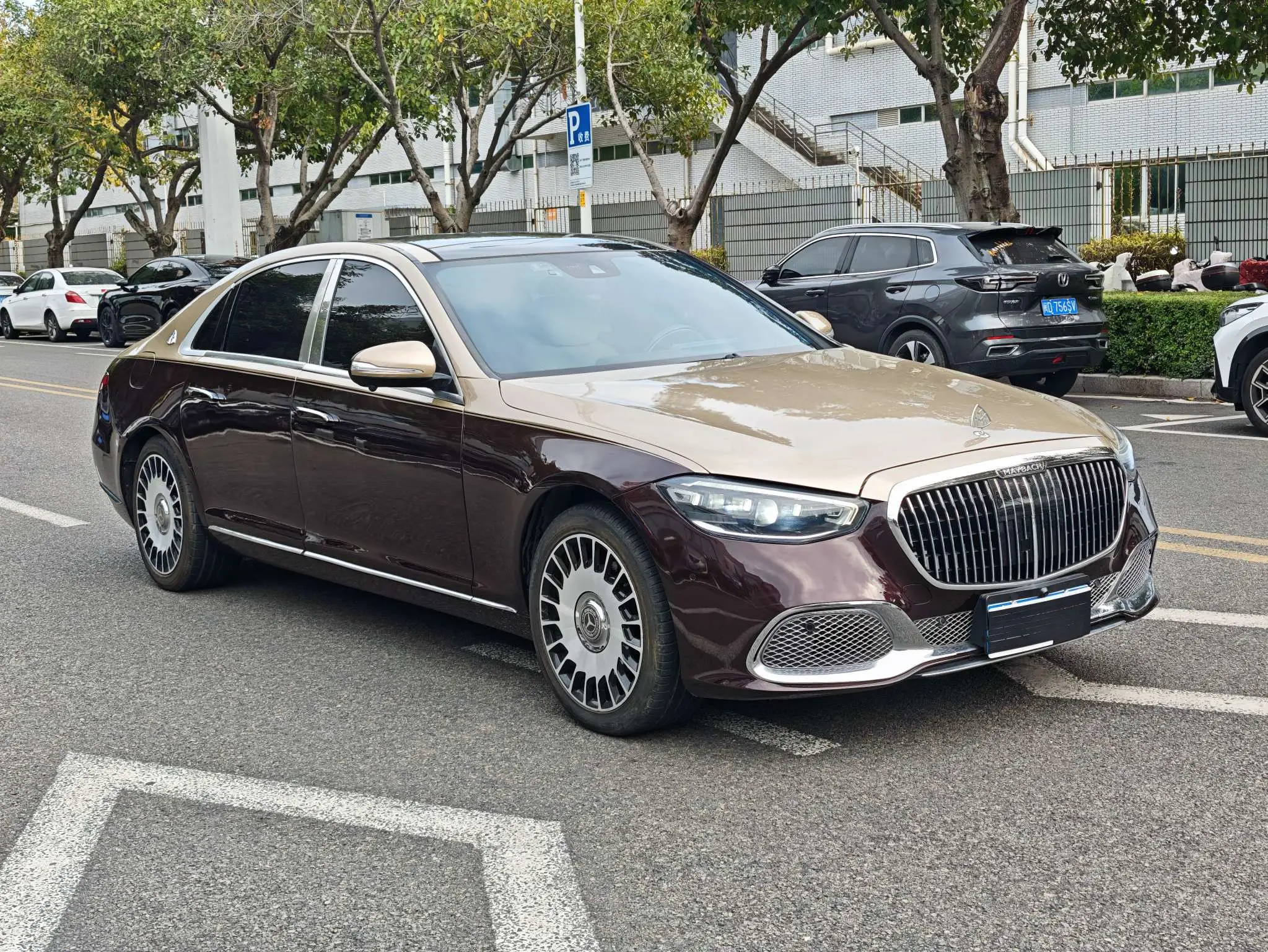 Mercedes-Benz Mercedes Benz S Class  из Китая