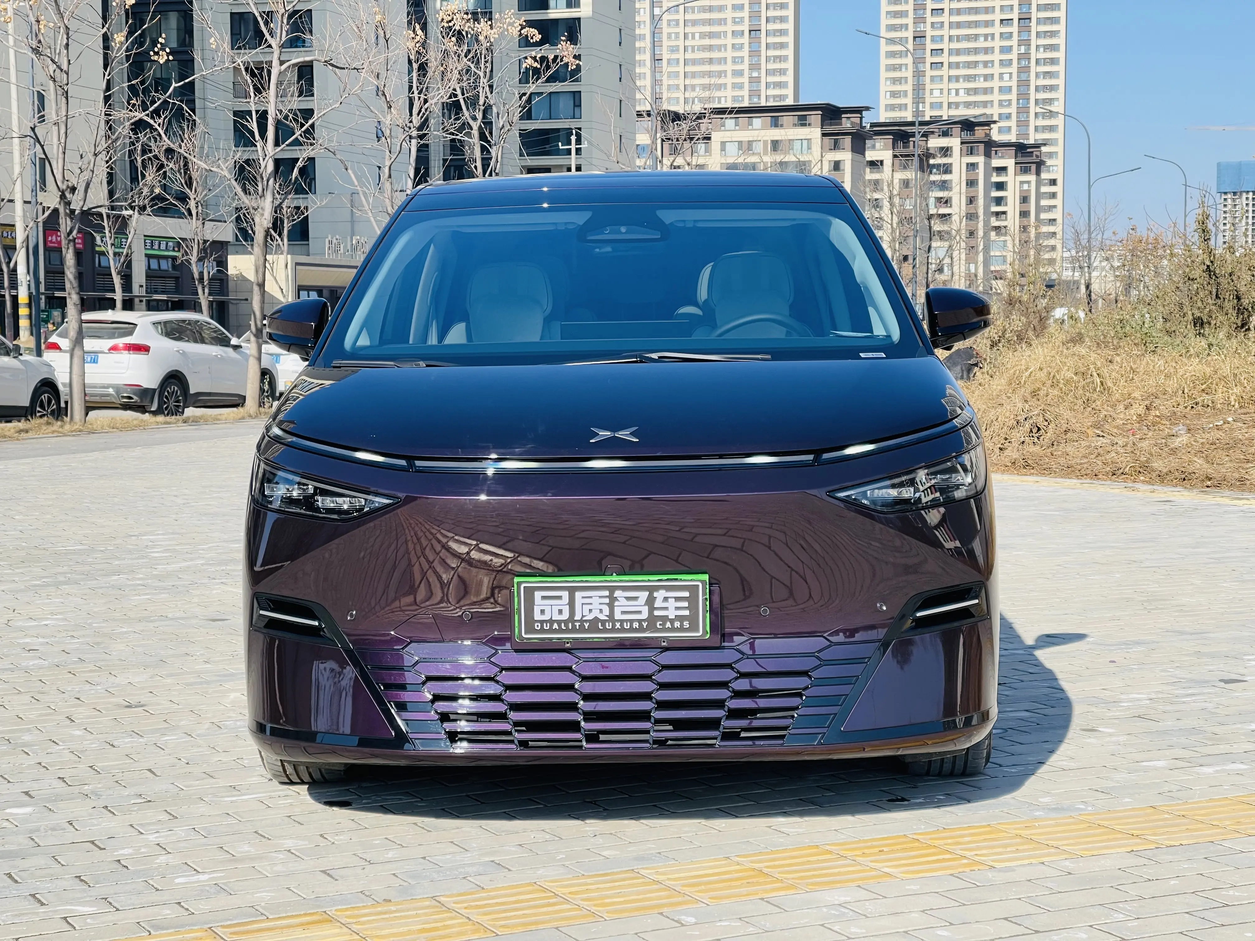 Xpeng X9  из Китая