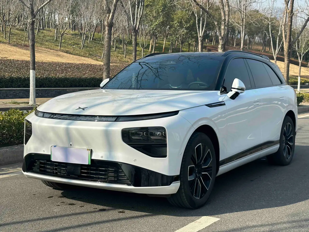 Xpeng G9  из Китая