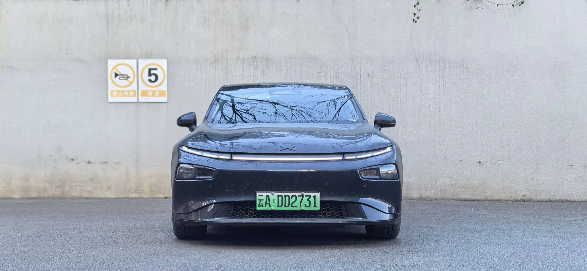 Xpeng P7  из Китая