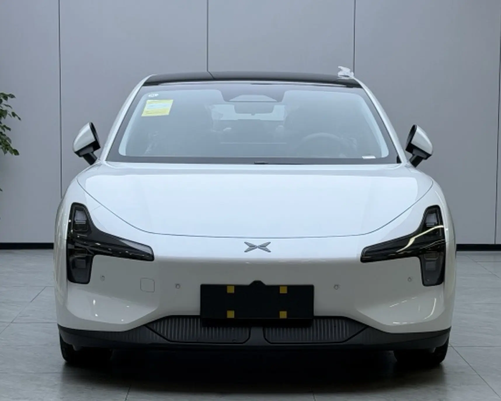 Xpeng Xiaopeng MONA M03  из Китая