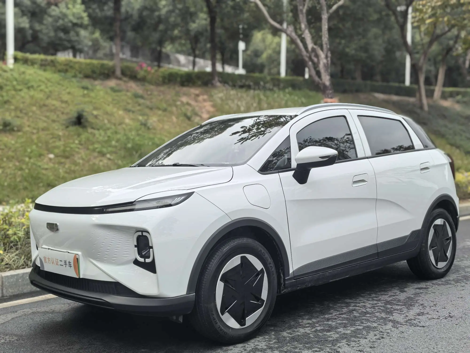 Geely Geometry E Firefly  из Китая