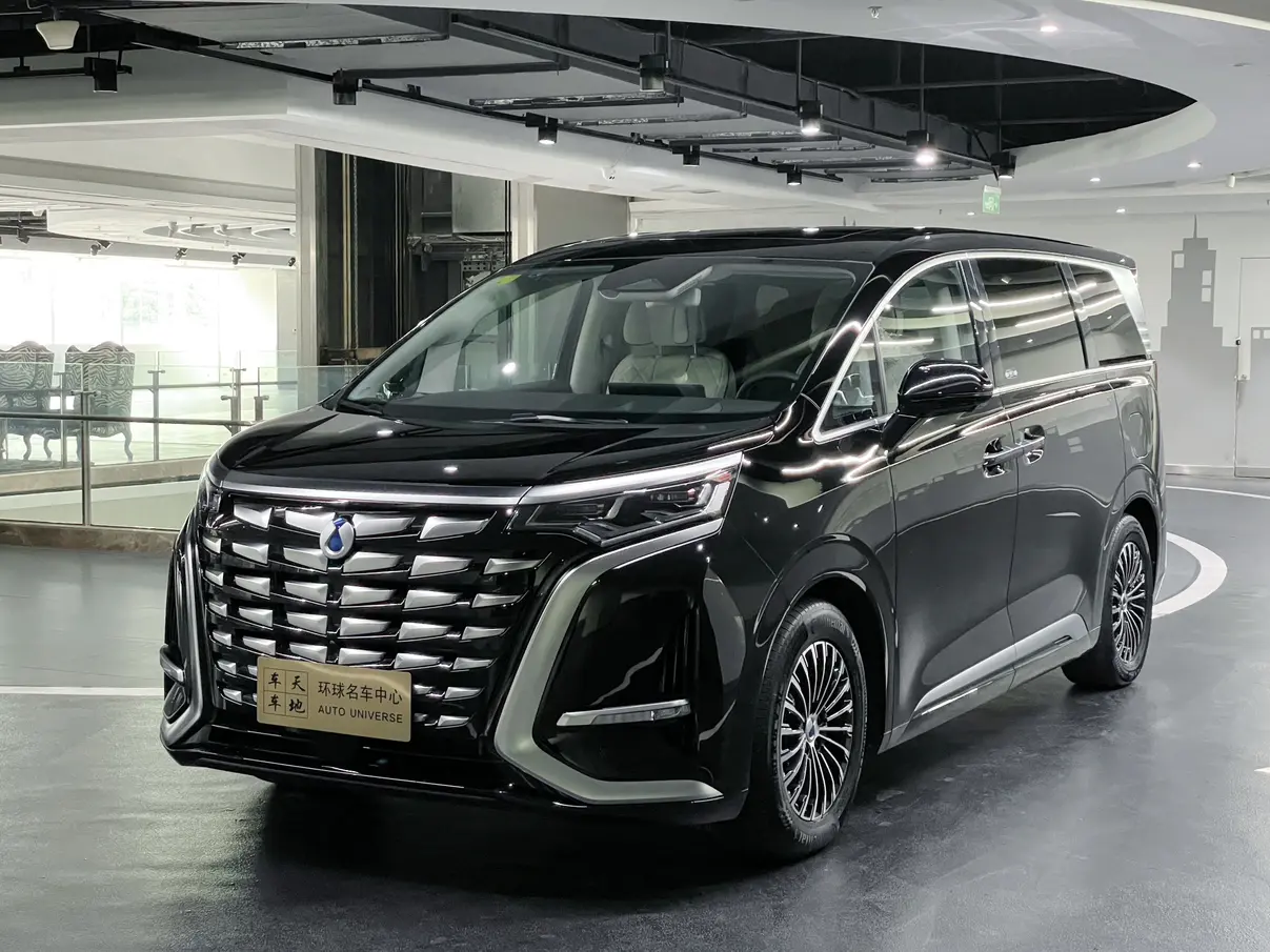 Denza D9 DM  из Китая