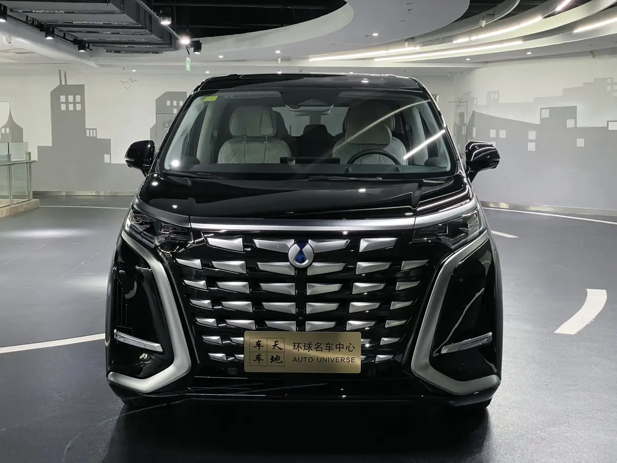 Denza D9 DM  из Китая