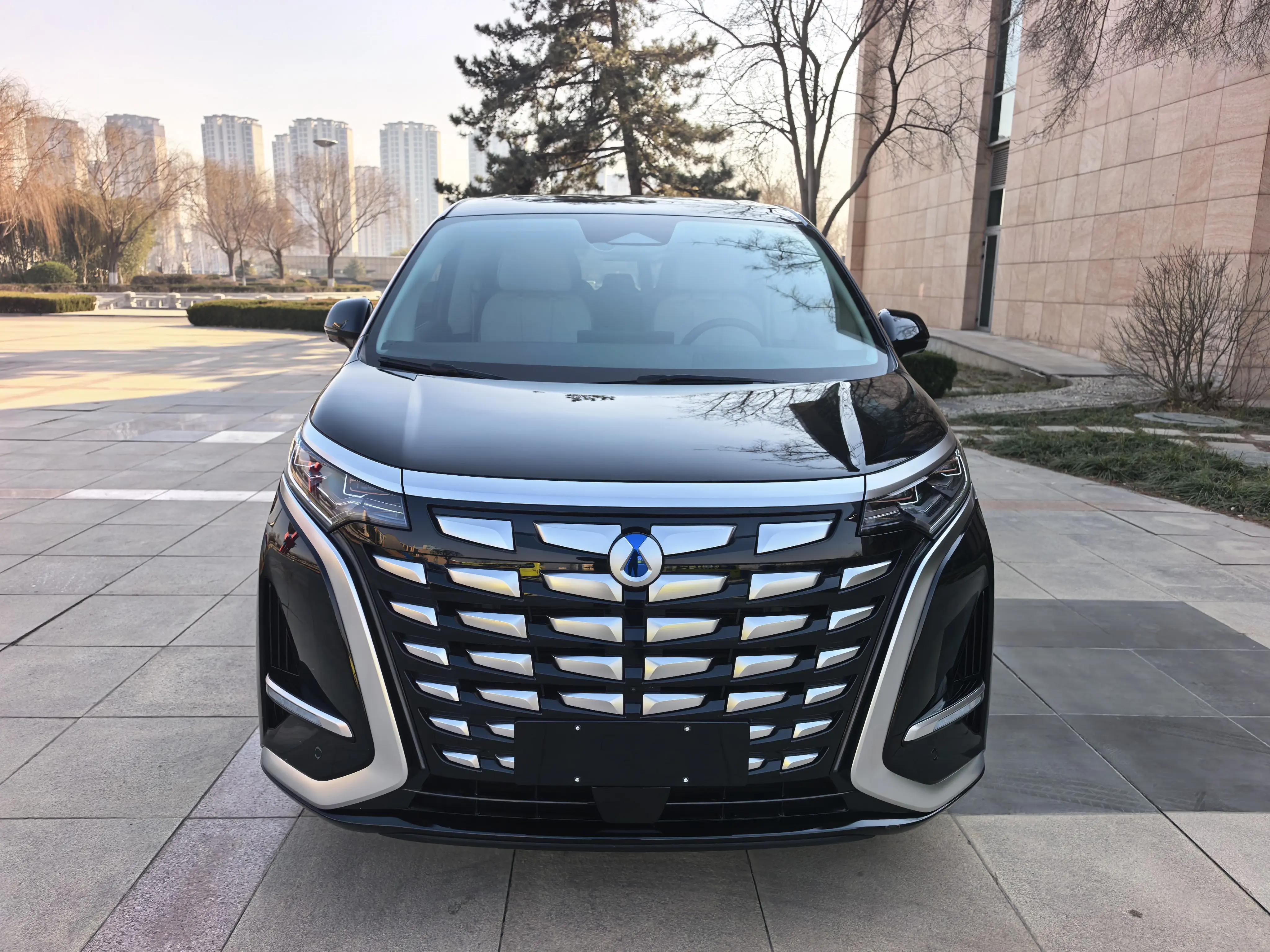 Denza D9 DM  из Китая