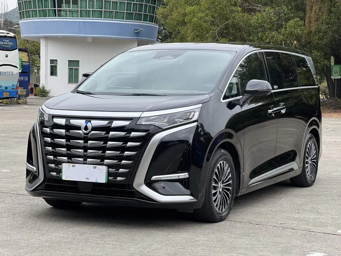 Denza D9 DM  из Китая